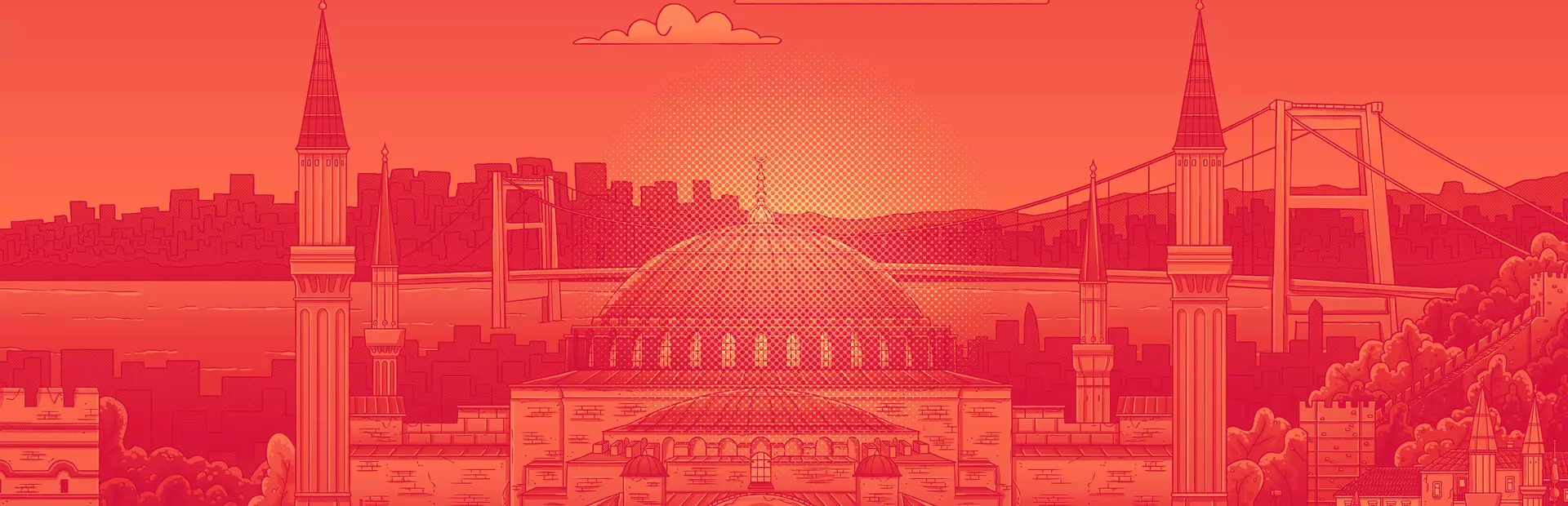 隐藏在伊斯坦布尔的猫