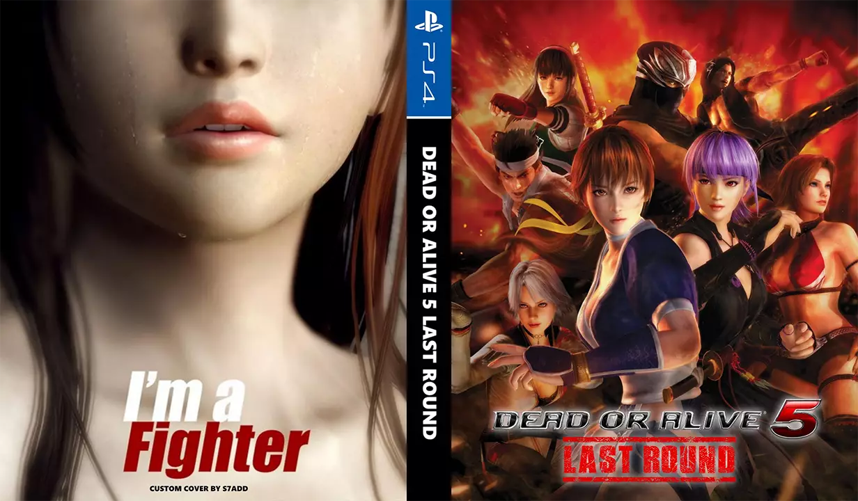 死或生 5：最后一战-Dead or Alive 5: Last Round-游戏截图-好玩游戏库
