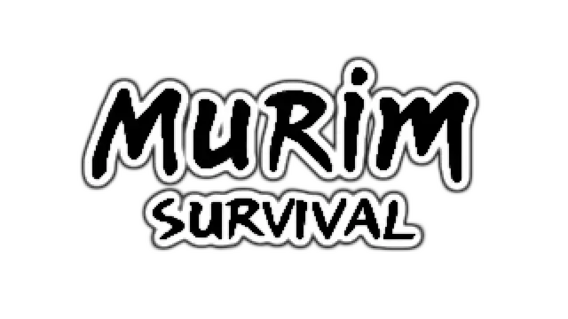 武林生存 | Murim Survival