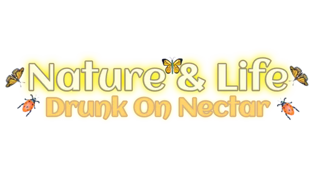 自然与生命：沉醉于花蜜 | Nature And Life Drunk On Nectar