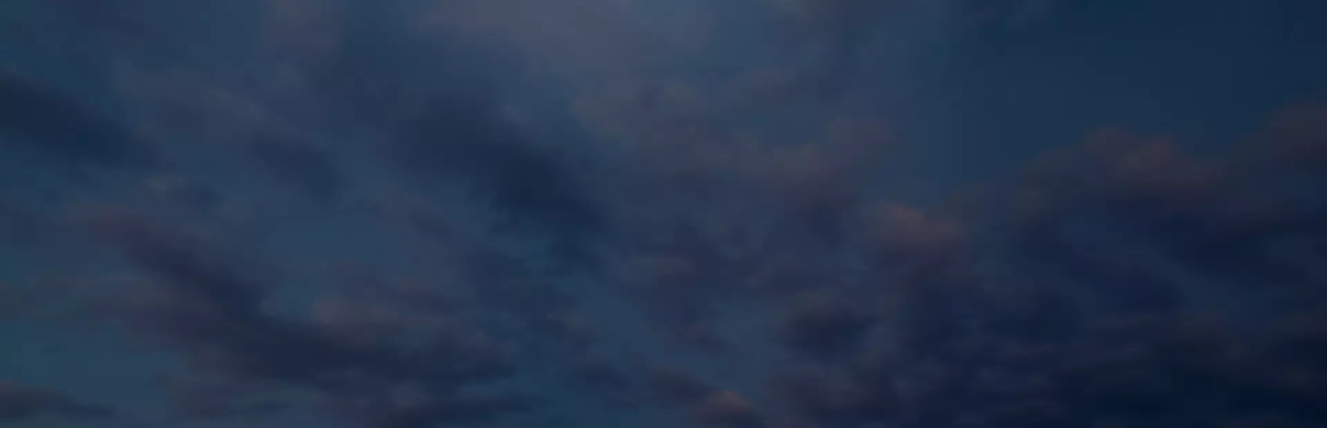 仙人掌模拟器：重制版