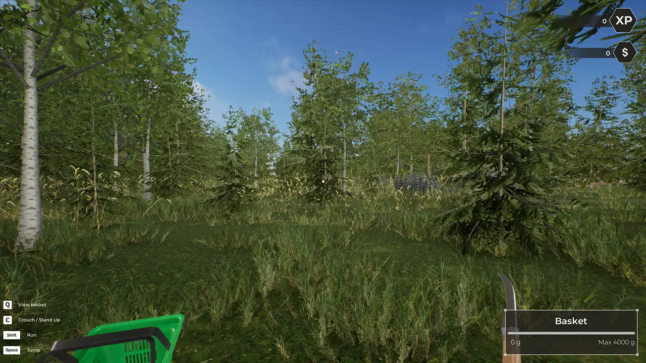 蘑菇漫游者：森林疗愈之旅-Mushroom Hunter World-游戏截图-好玩游戏库