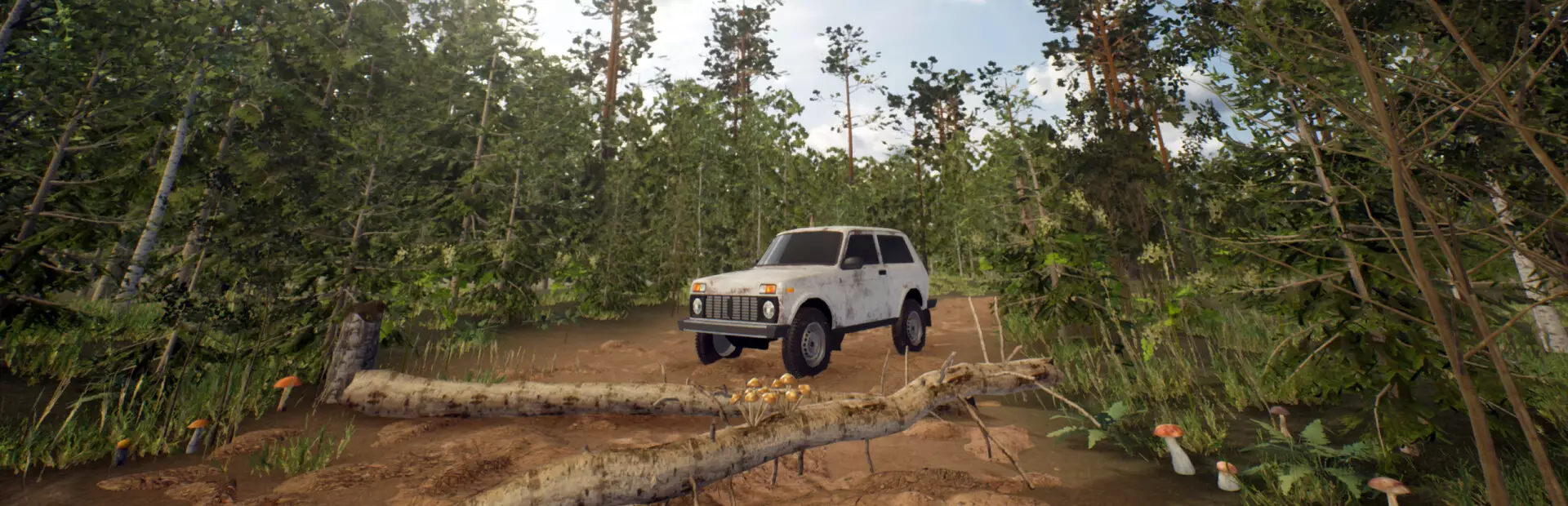 蘑菇漫游者:森林疗愈之旅