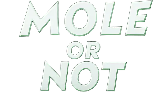 卧底还是神探 | Mole or Not