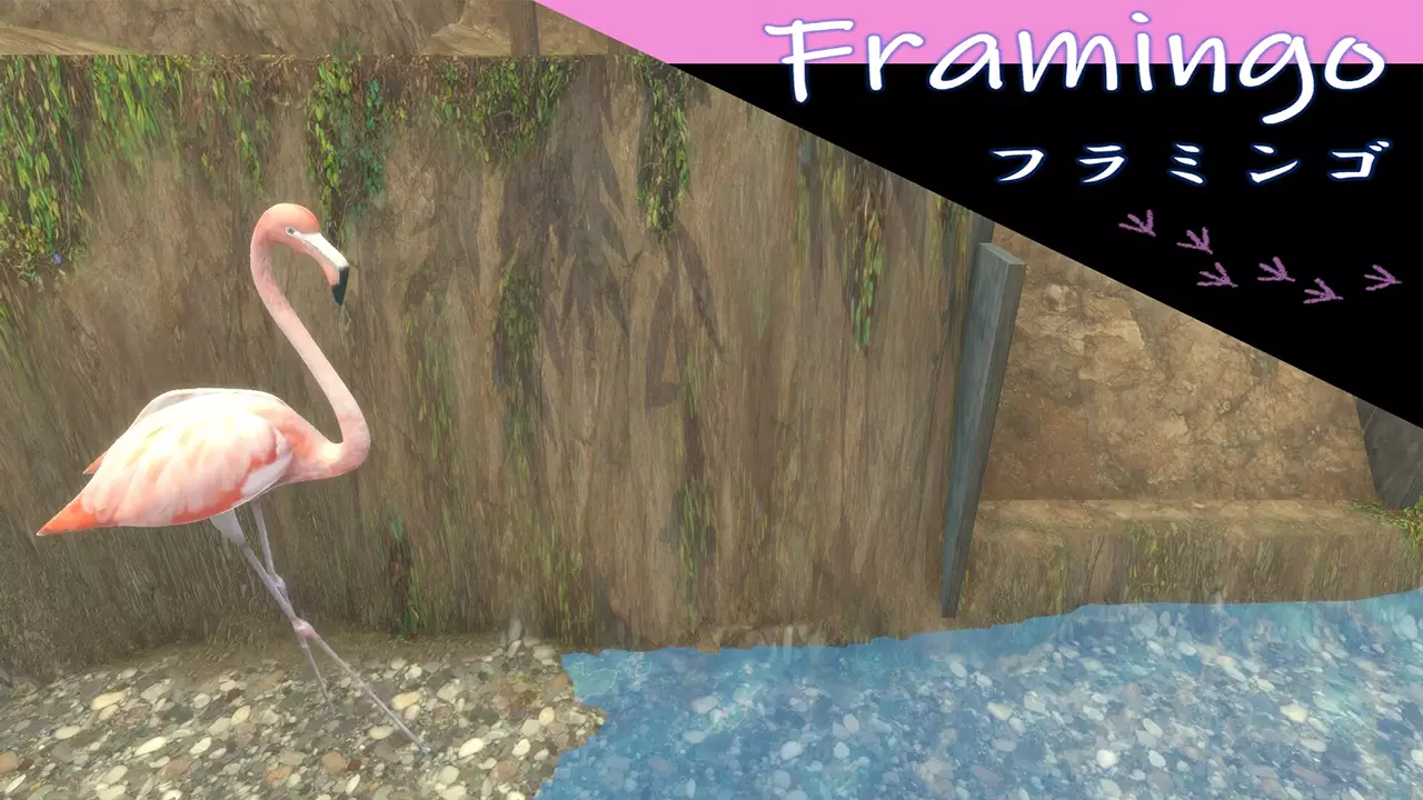 鸟果消除乐-The Bird and the Fruit-游戏截图-好玩游戏库