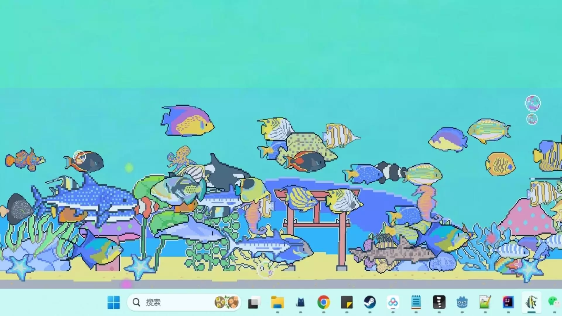 -星星水族馆~Star Aquarium-游戏截图-好玩游戏库