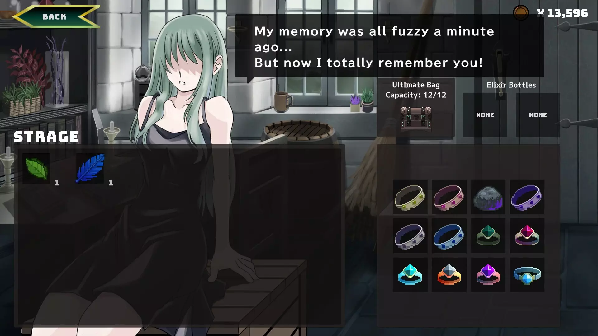 -魔法使いの従者 Sorcerer's Servant-游戏截图-好玩游戏库