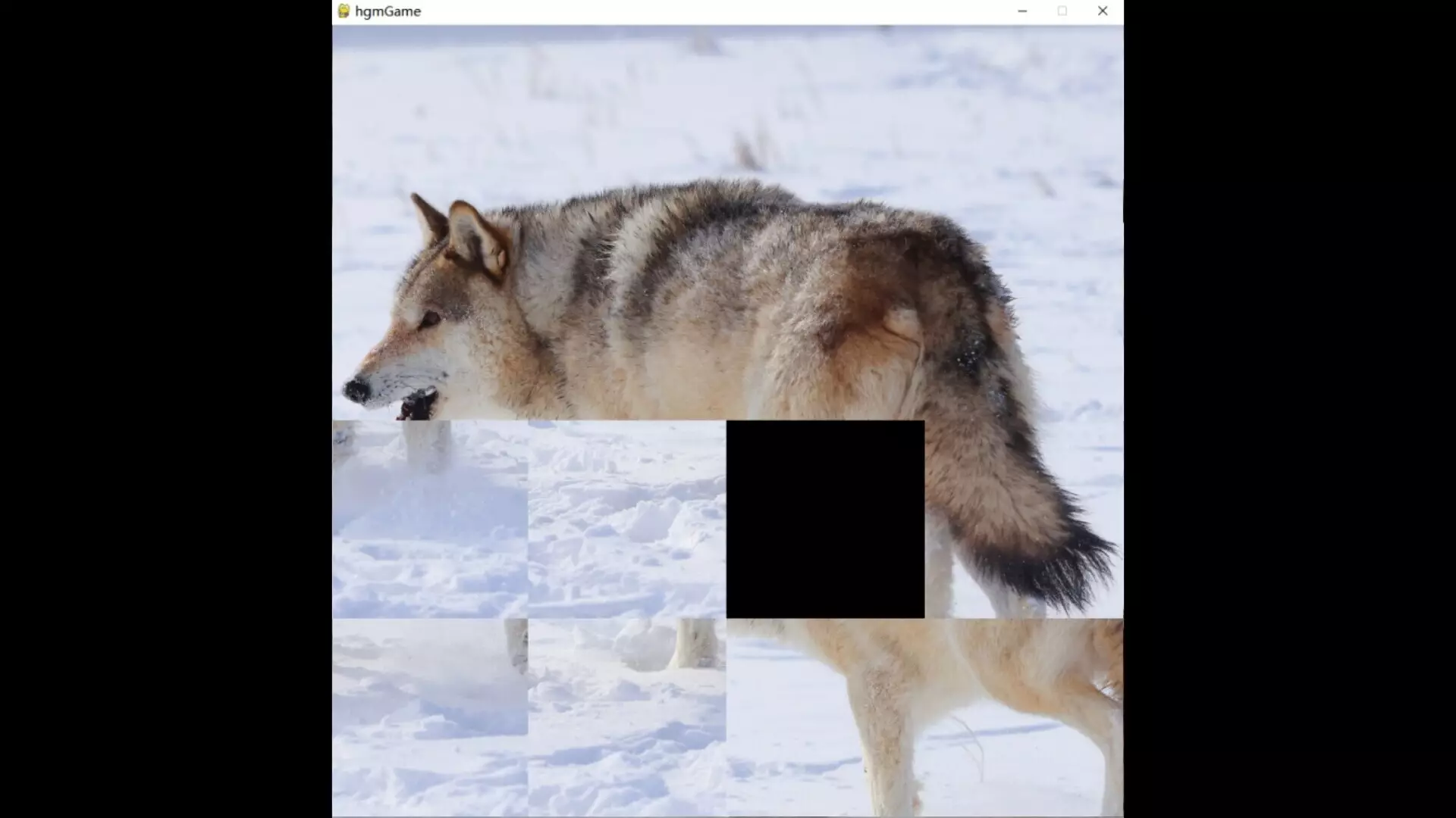 -hgmGame-wolf-游戏截图-好玩游戏库