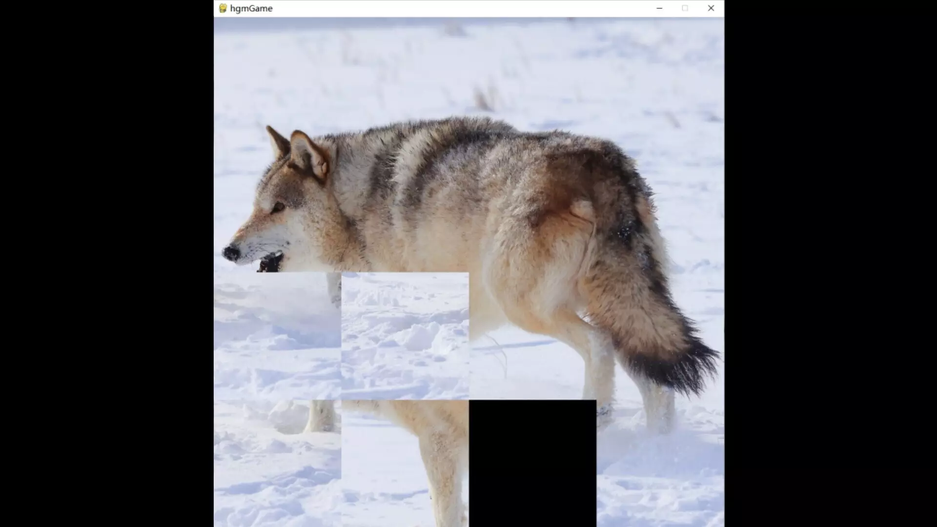 -hgmGame-wolf-游戏截图-好玩游戏库