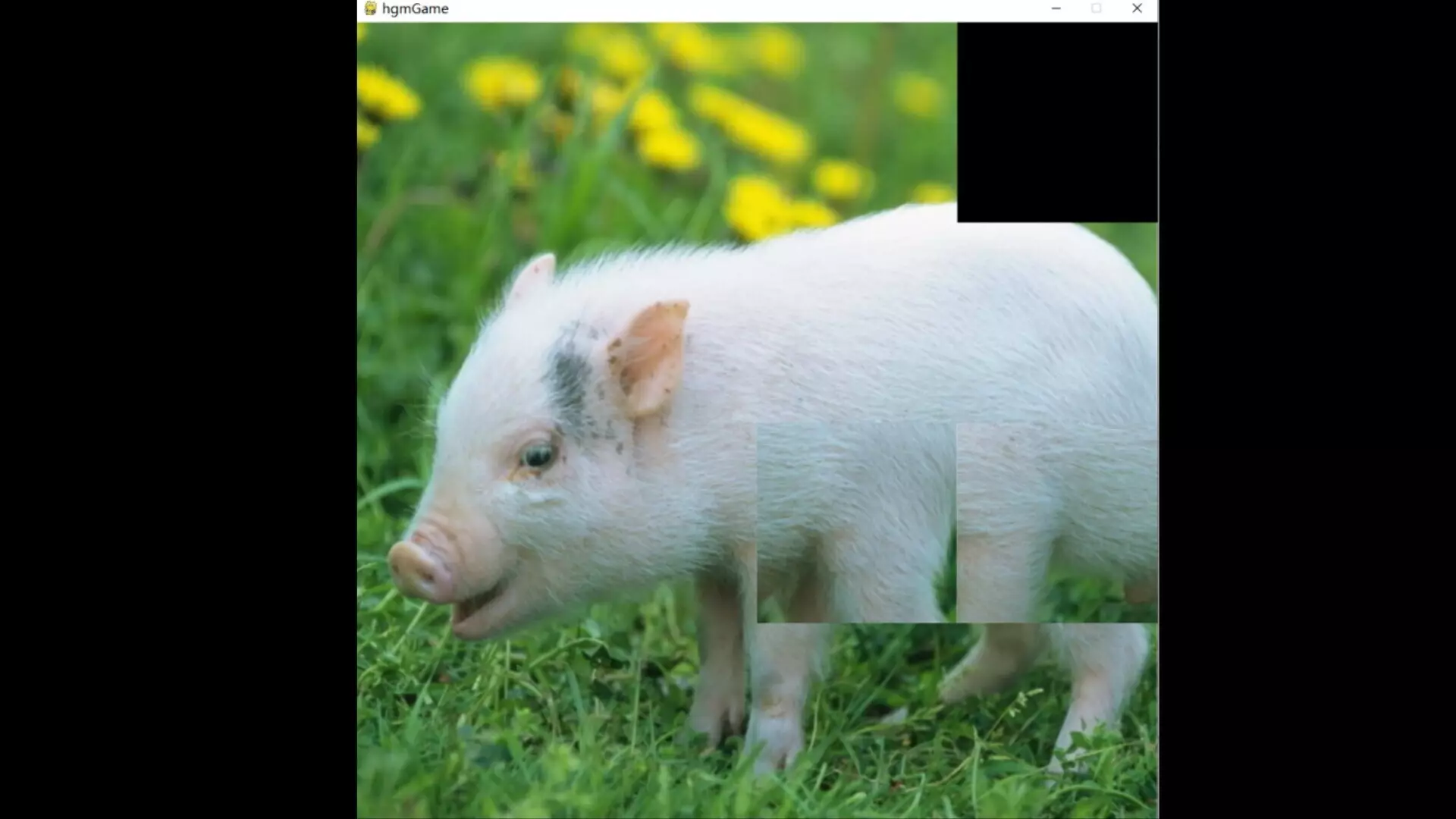 -hgmGame-pig-游戏截图-好玩游戏库