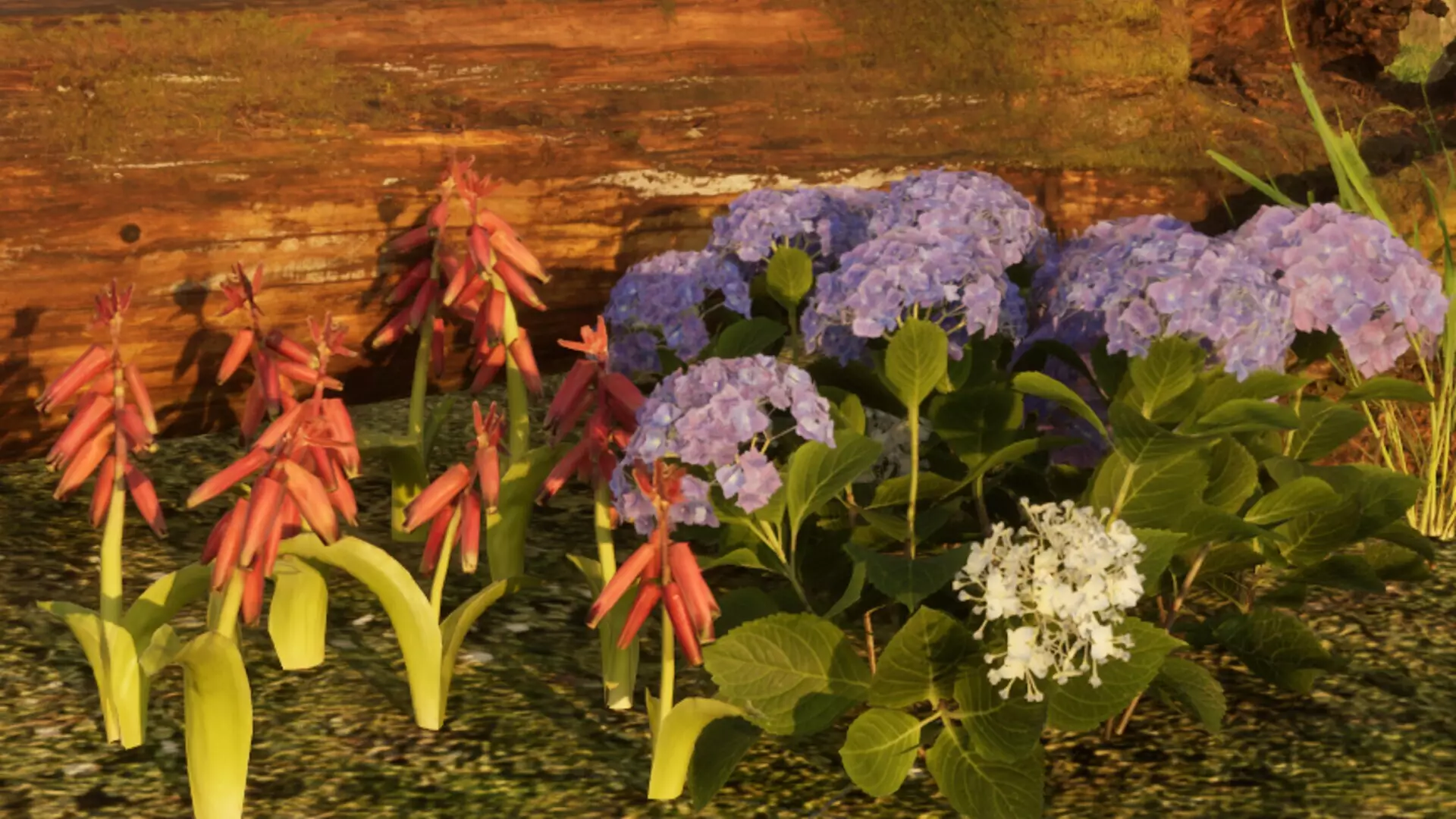 -Clod & Desire-游戏截图-好玩游戏库