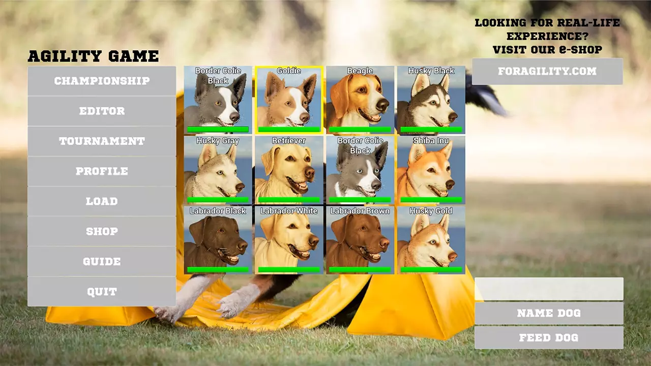 狗狗障碍赛-Agility Game-游戏截图-好玩游戏库