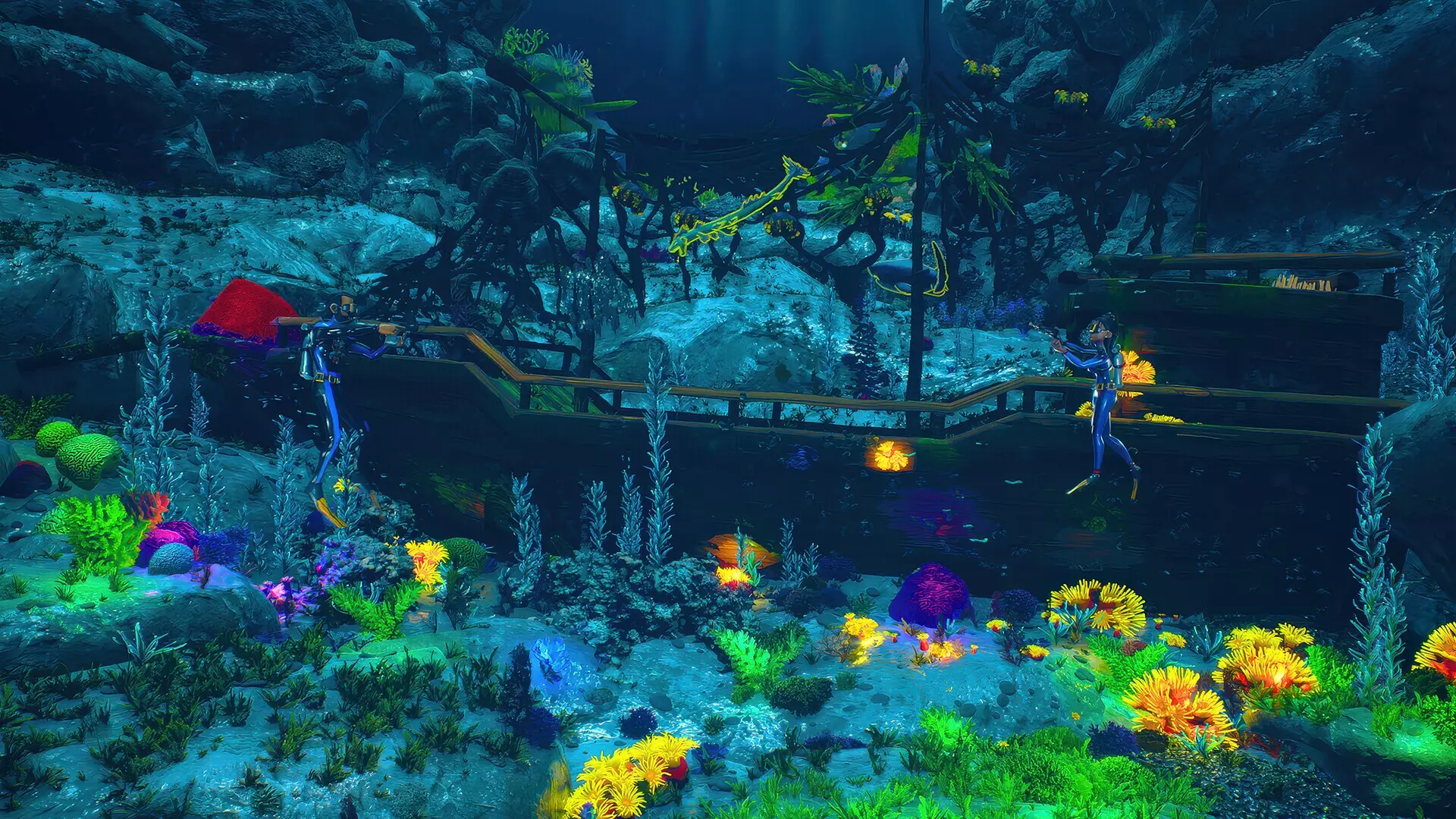 -Dive and Dine Simulator-游戏截图-好玩游戏库