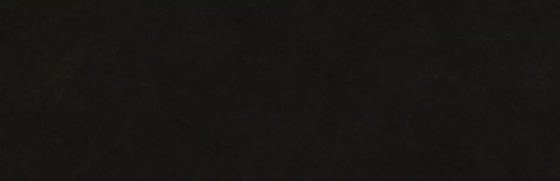 沙腐之境：无尽梦魇