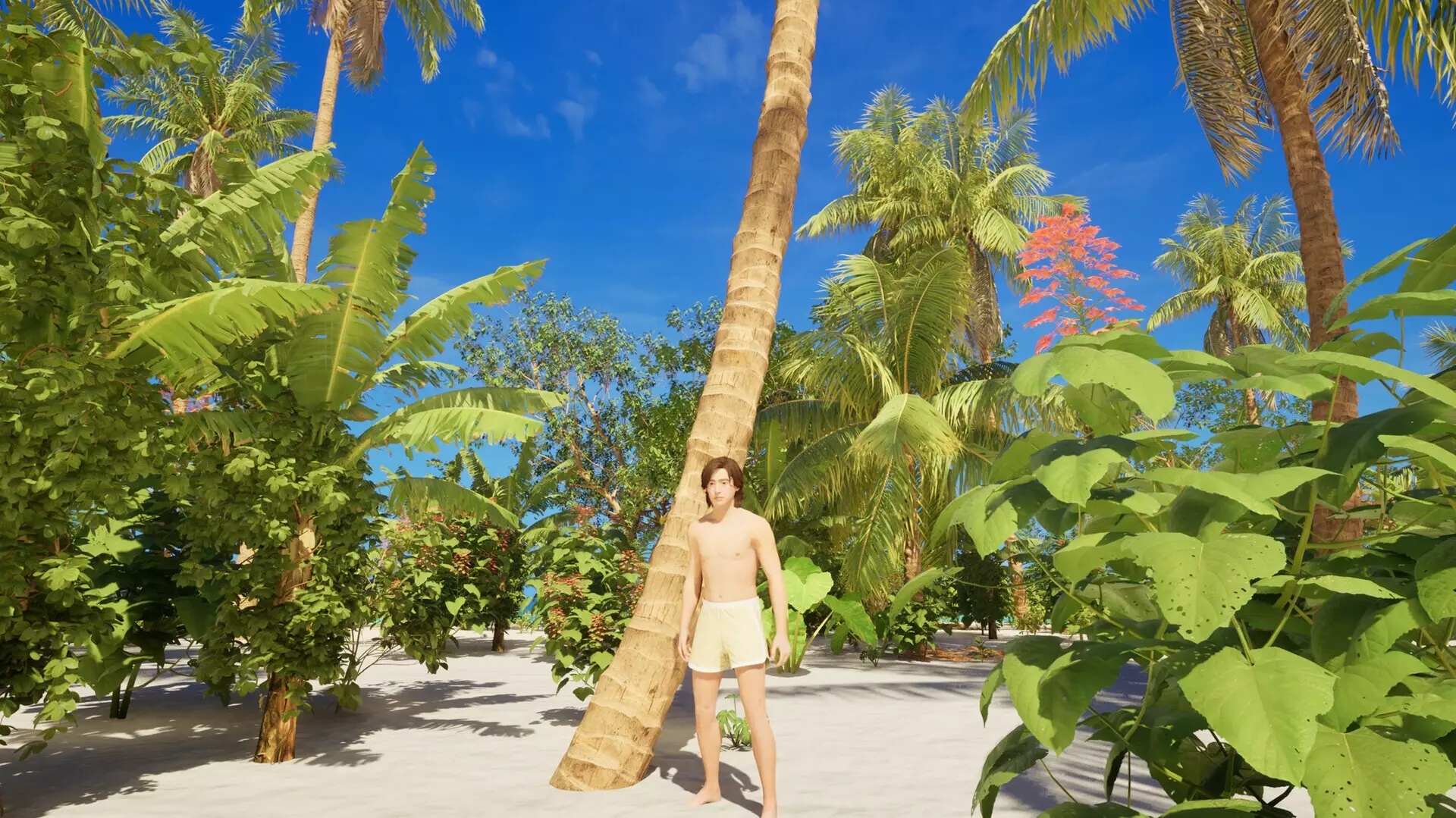 -Maldives in Dream-游戏截图-好玩游戏库