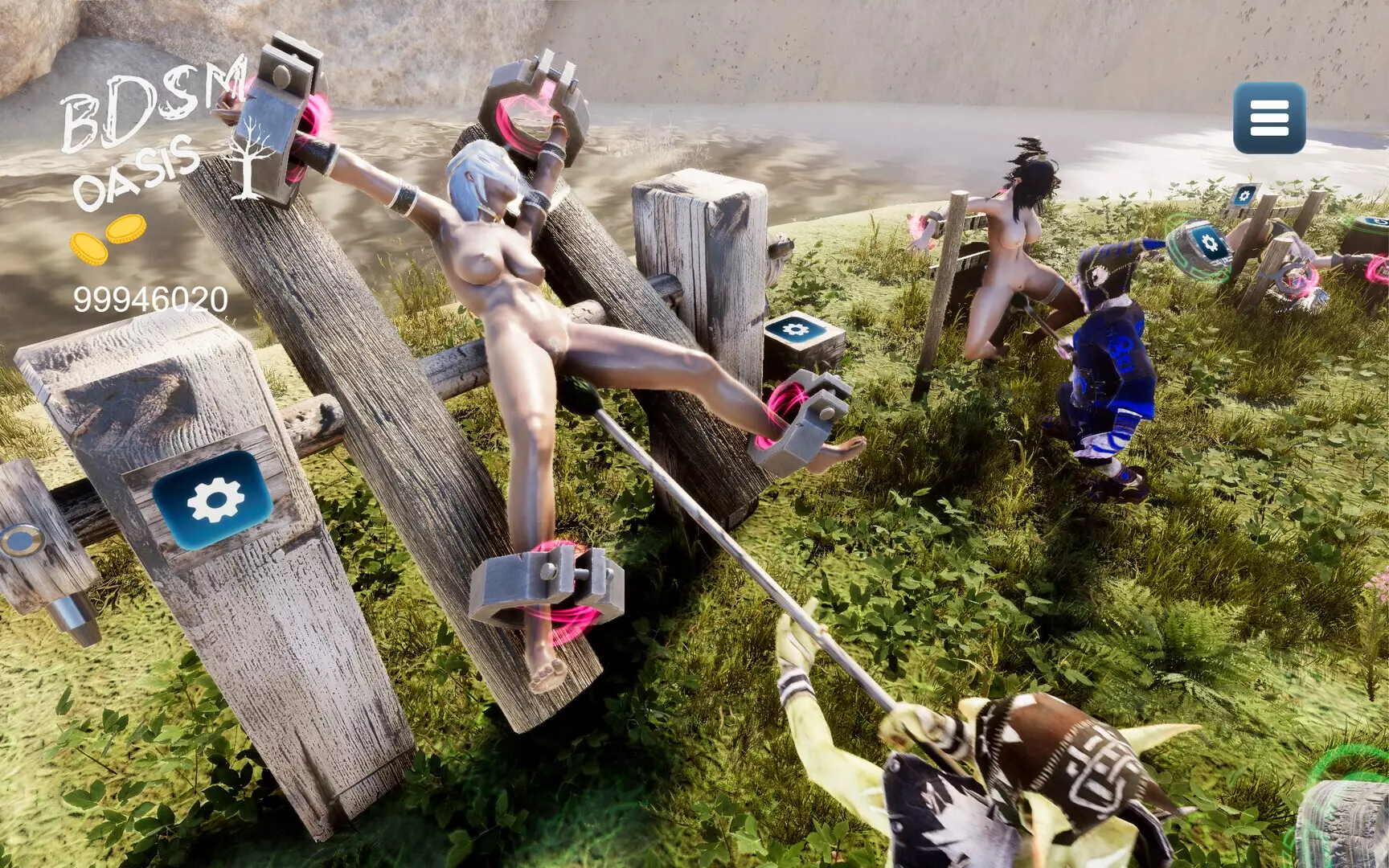 BDSM Oasis – interactive physics simulation