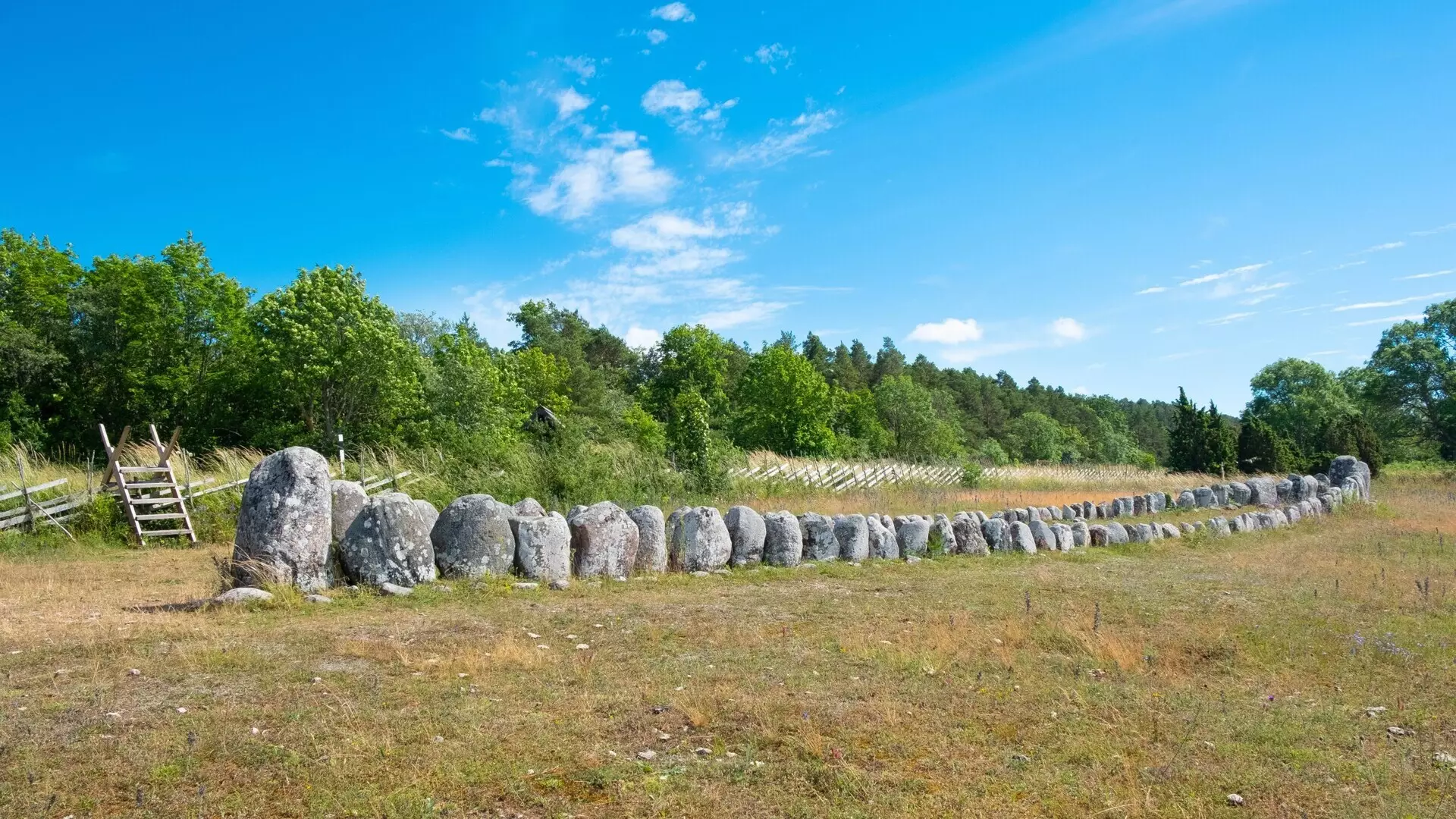 谜案追凶：消失的妻子-The Game Maker: A Carol Reed Mystery-游戏截图-好玩游戏库