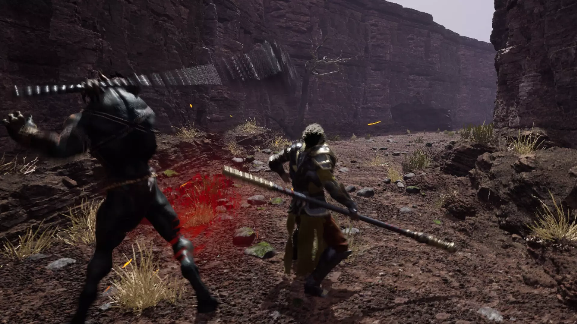 -Wukong Fight in Kaoria-游戏截图-好玩游戏库