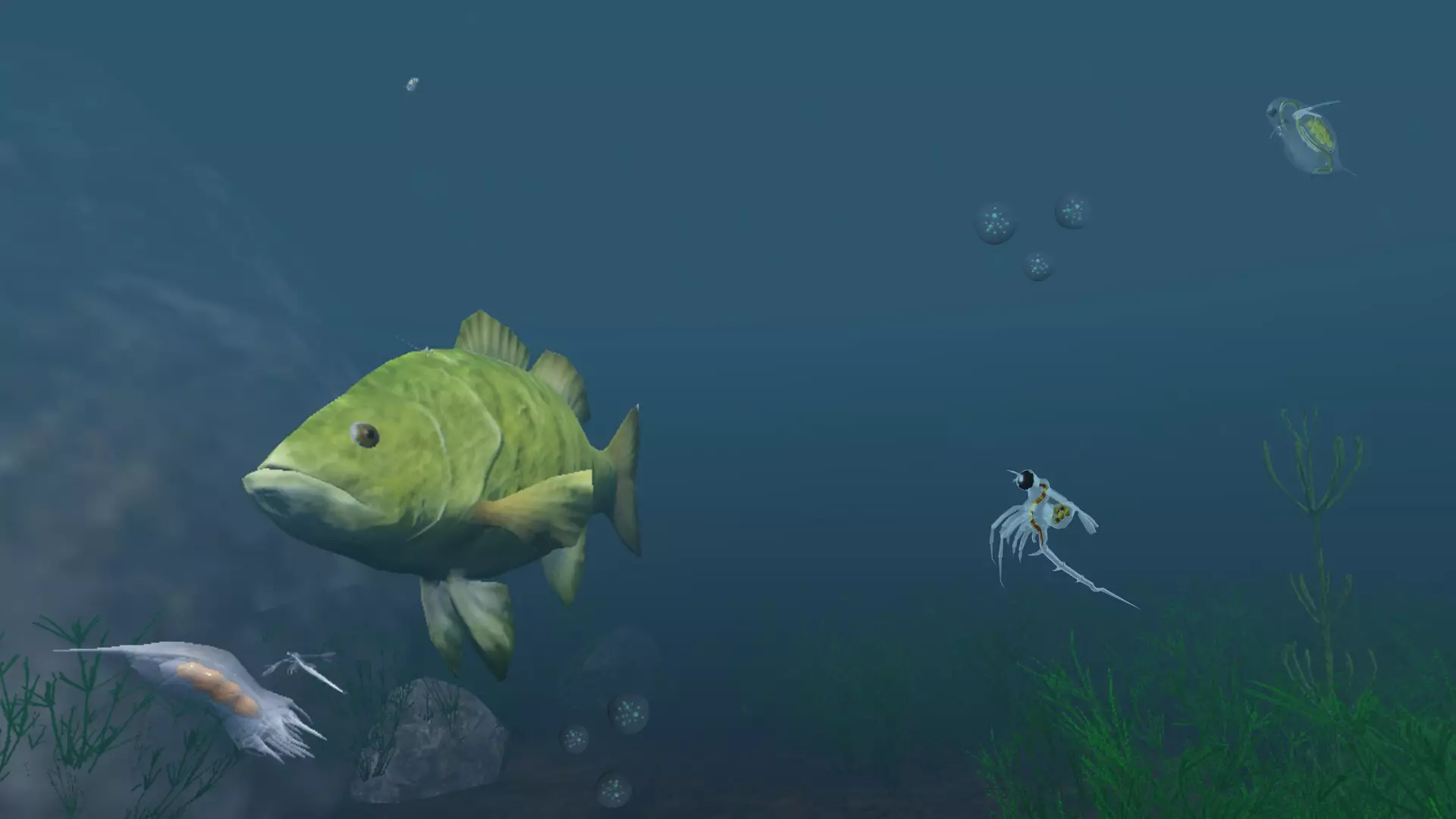 -The Aquatic Messenger-游戏截图-好玩游戏库