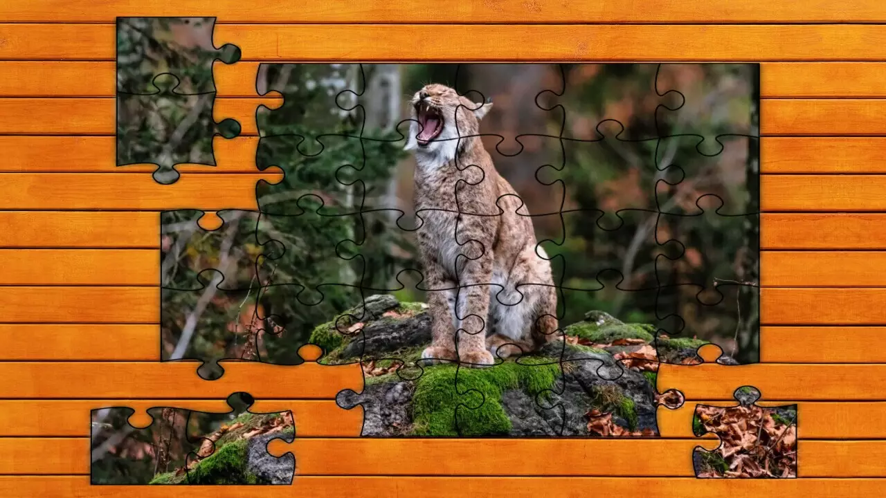 -Wild Lynx Jigsaw-游戏截图-好玩游戏库