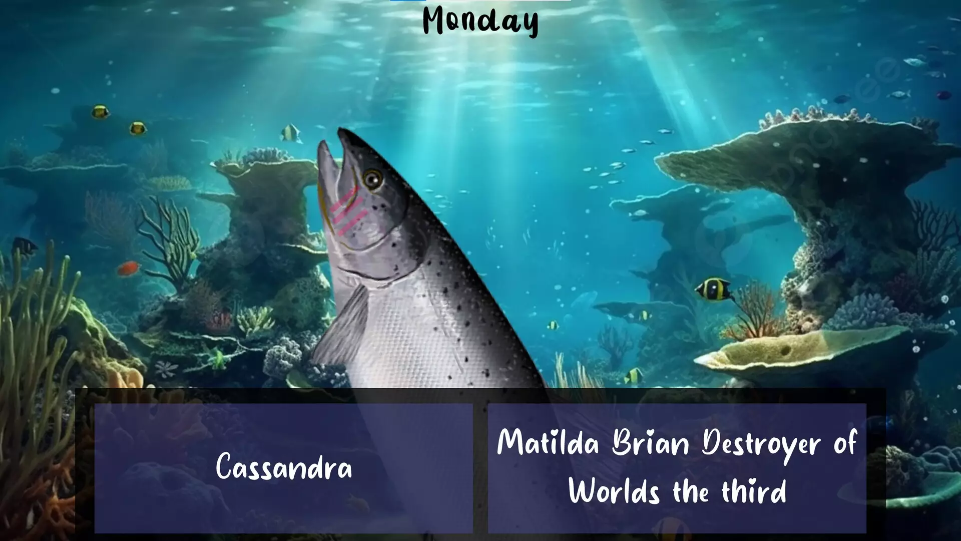 -Plenty of Fish in the Sea-游戏截图-好玩游戏库