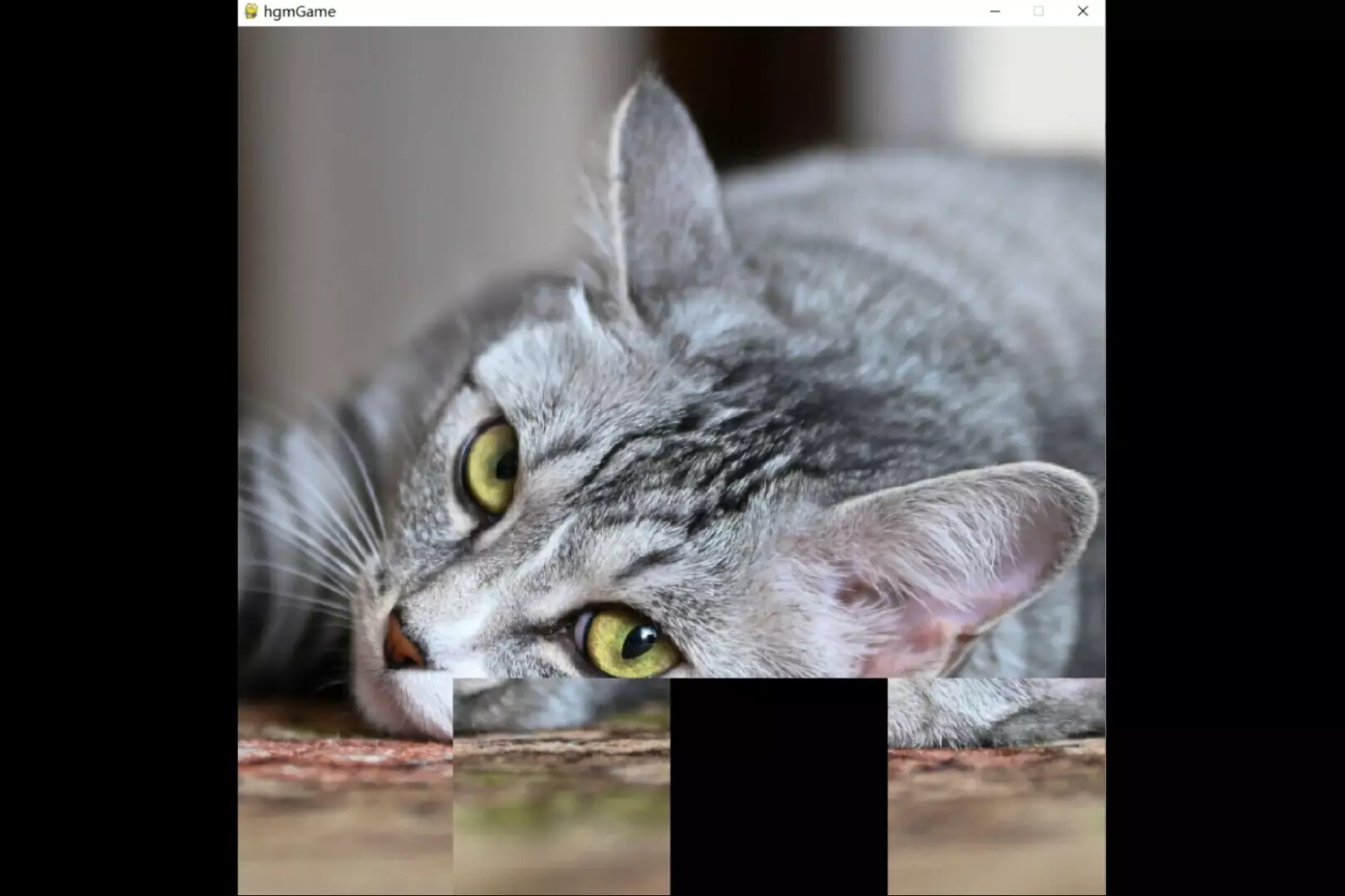 -hgmGame-cat-游戏截图-好玩游戏库