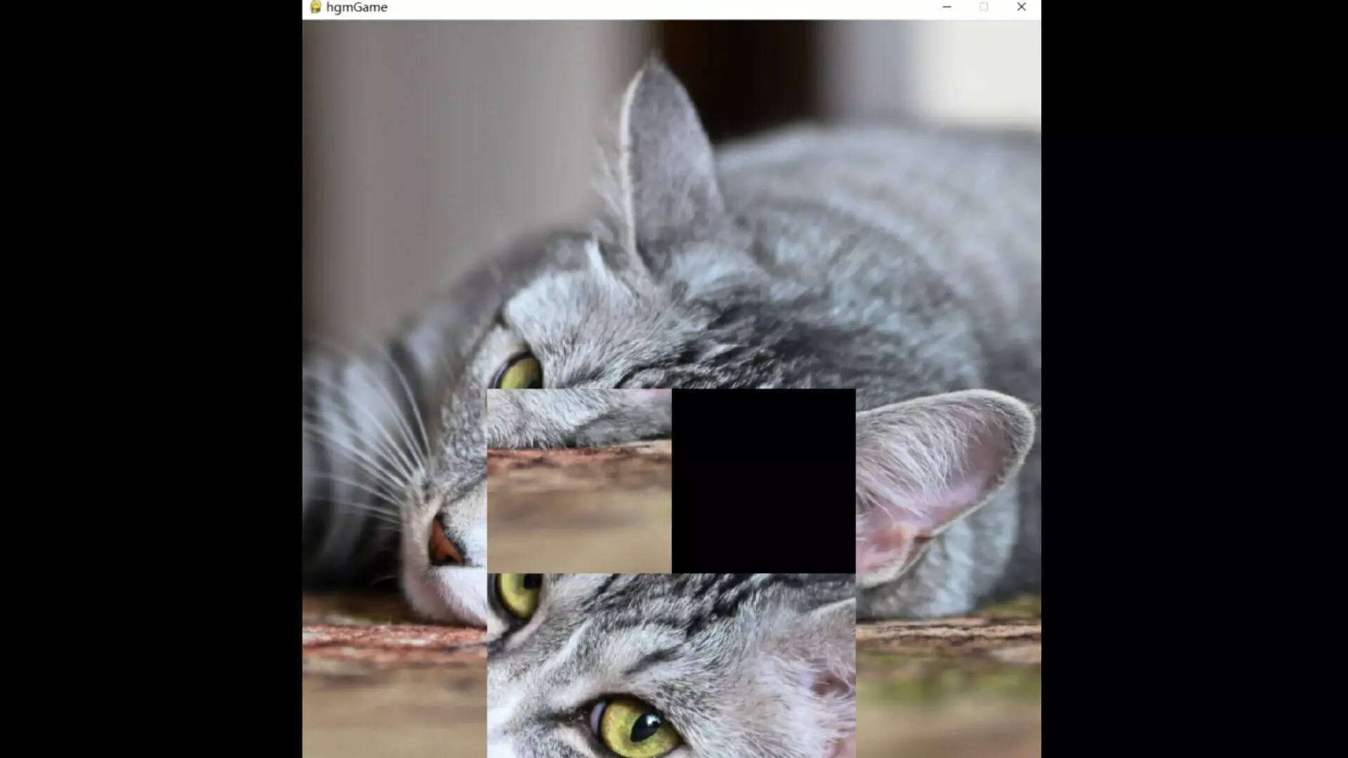 -hgmGame-cat-游戏截图-好玩游戏库