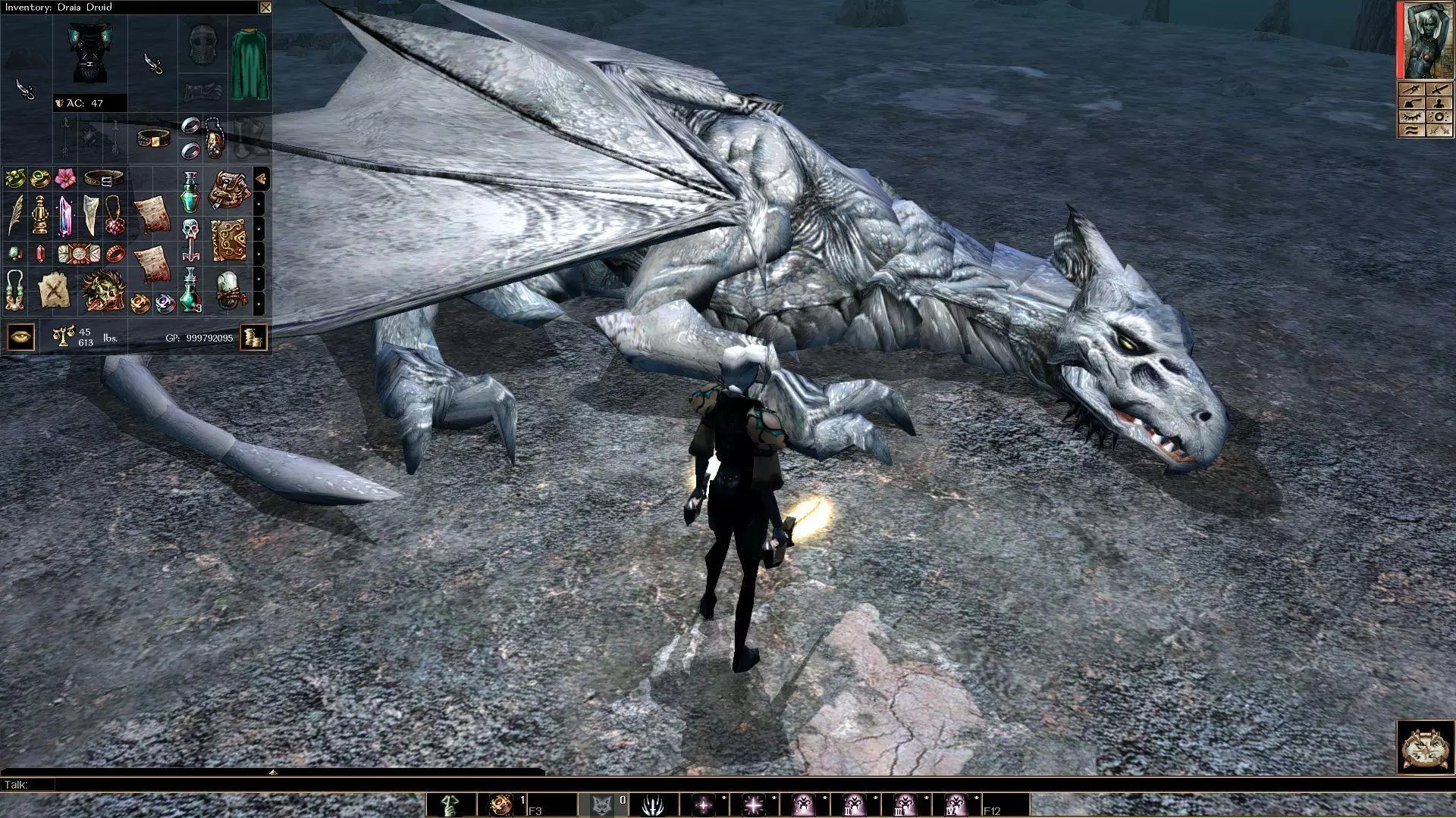 -Neverwinter Nights 1 + 2 Enhanced Collection-游戏截图-好玩游戏库