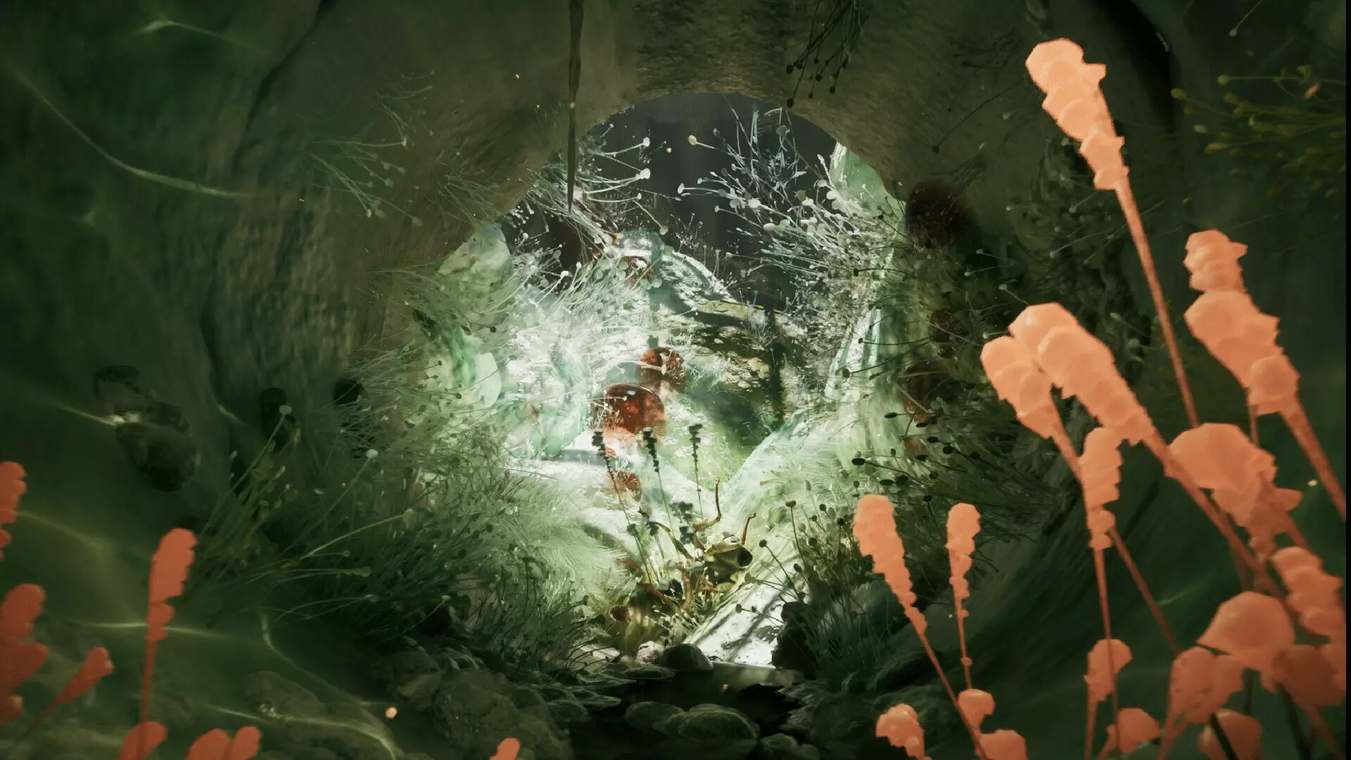 -MOLD-游戏截图-好玩游戏库