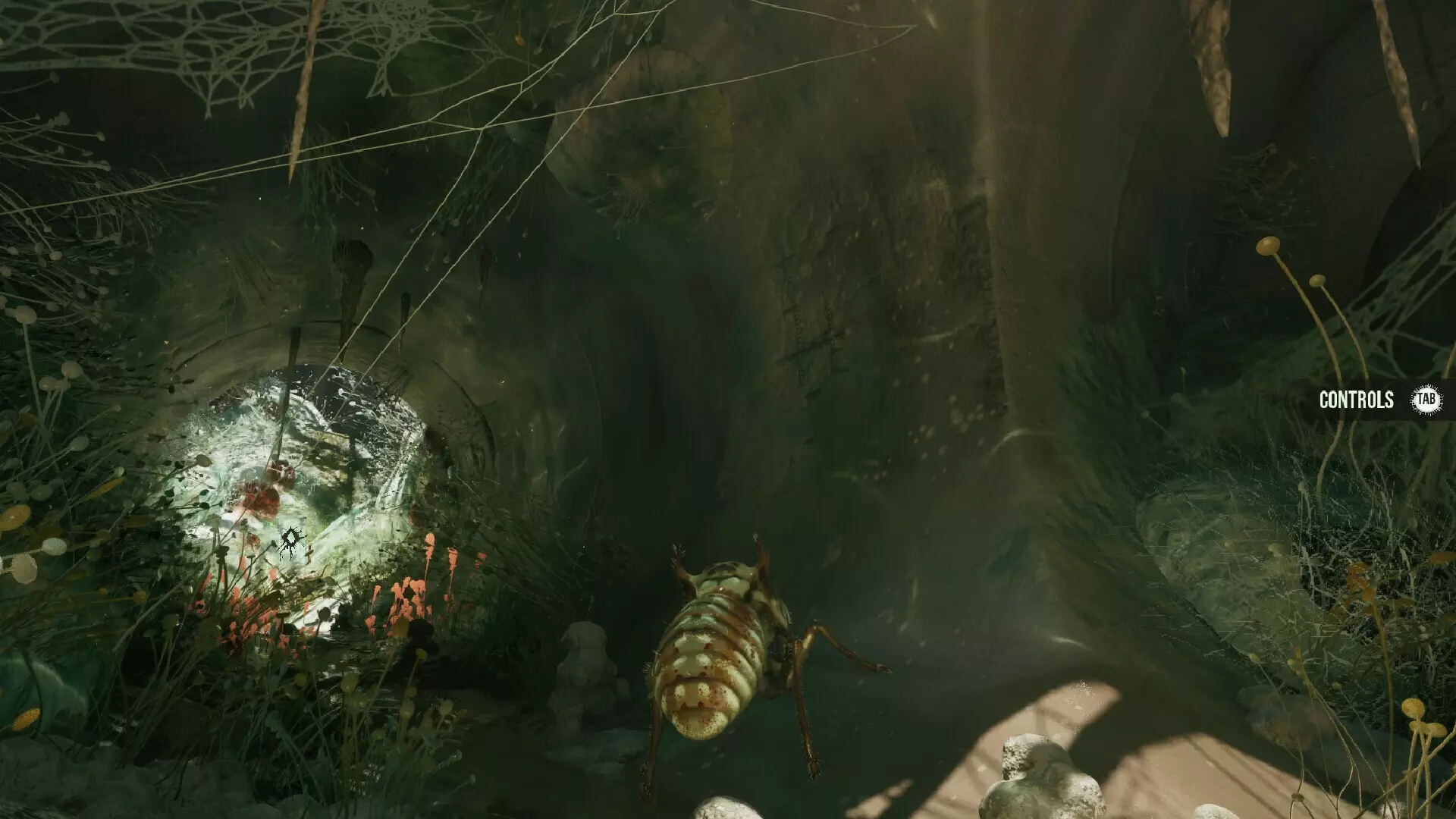 -MOLD-游戏截图-好玩游戏库