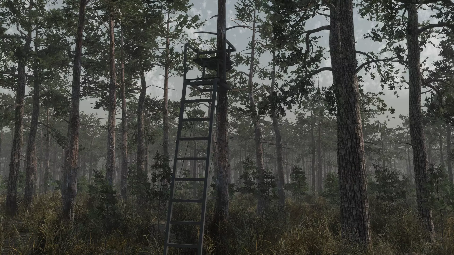 -Deer Hunting Camp-游戏截图-好玩游戏库