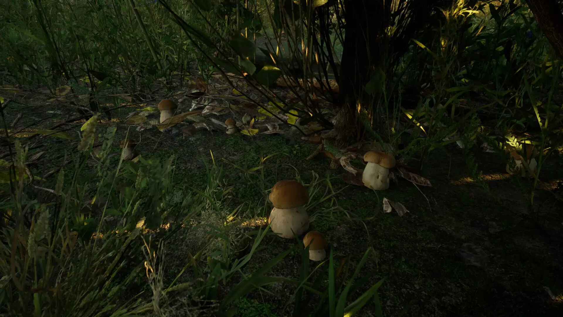 -Forest Doesn’t Care-游戏截图-好玩游戏库