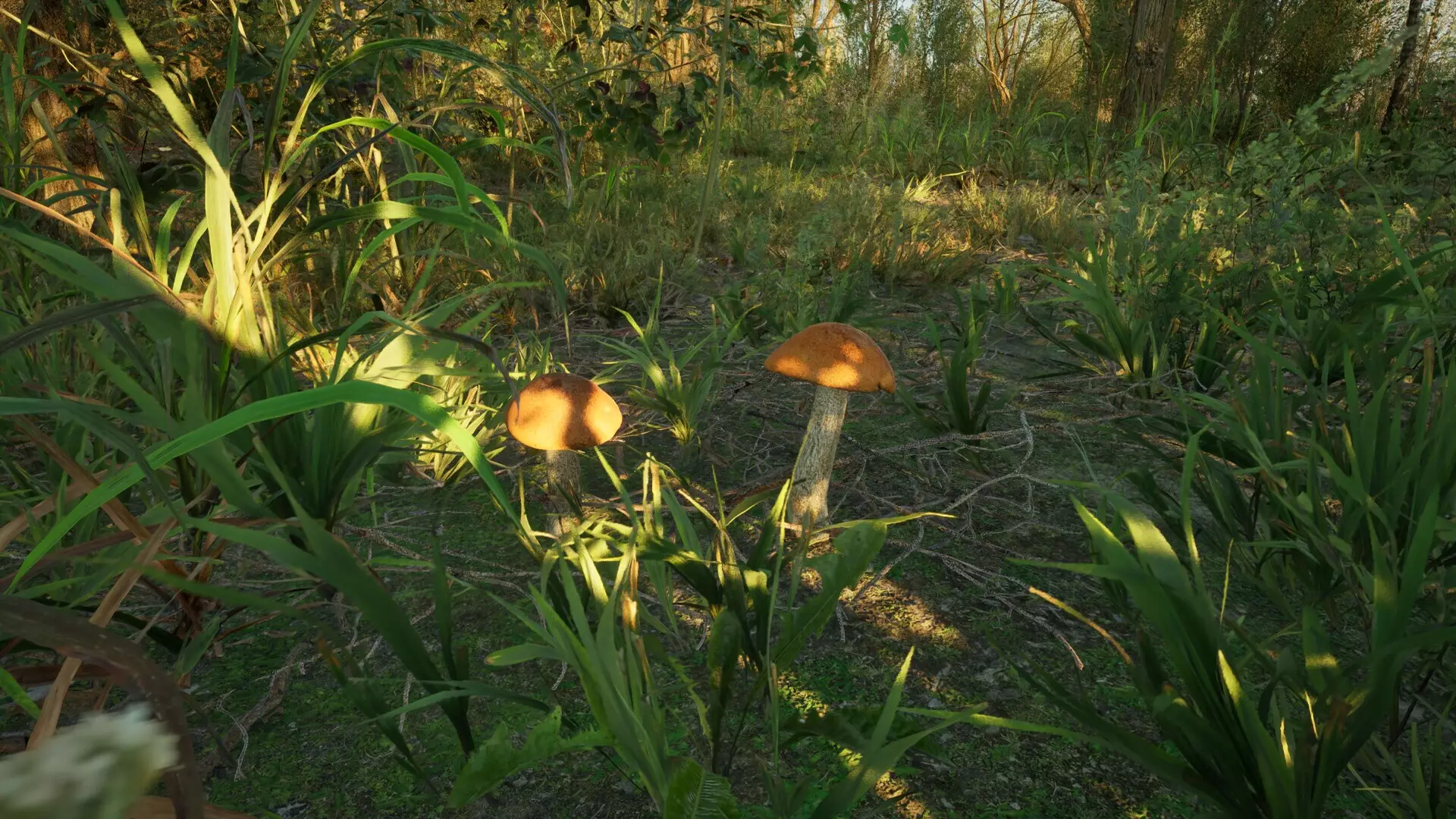 -Forest Doesn’t Care-游戏截图-好玩游戏库