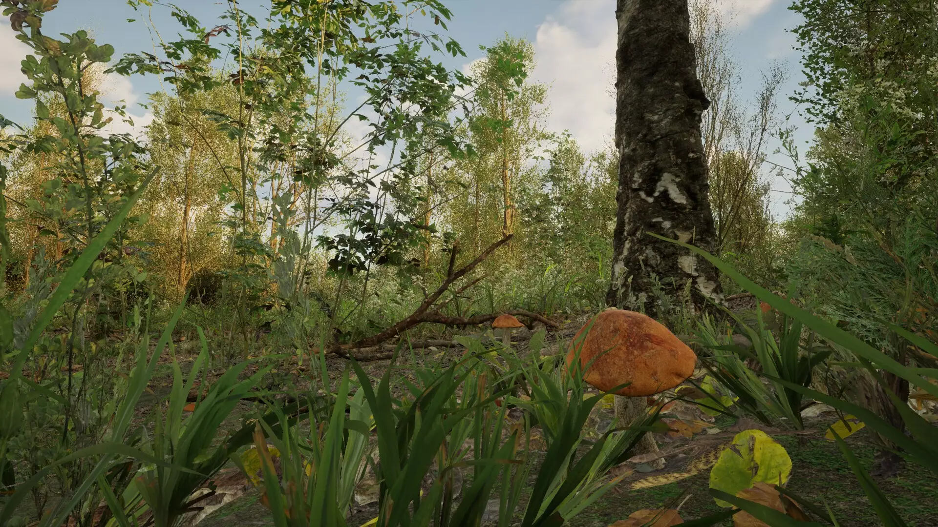 -Forest Doesn’t Care-游戏截图-好玩游戏库