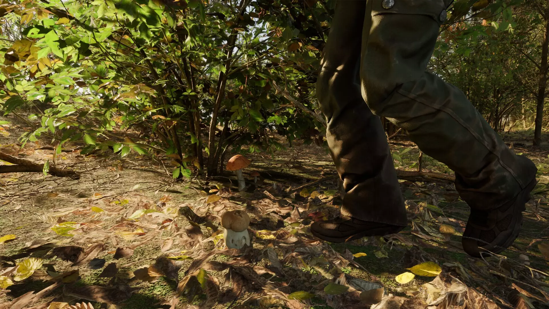 -Forest Doesn’t Care-游戏截图-好玩游戏库