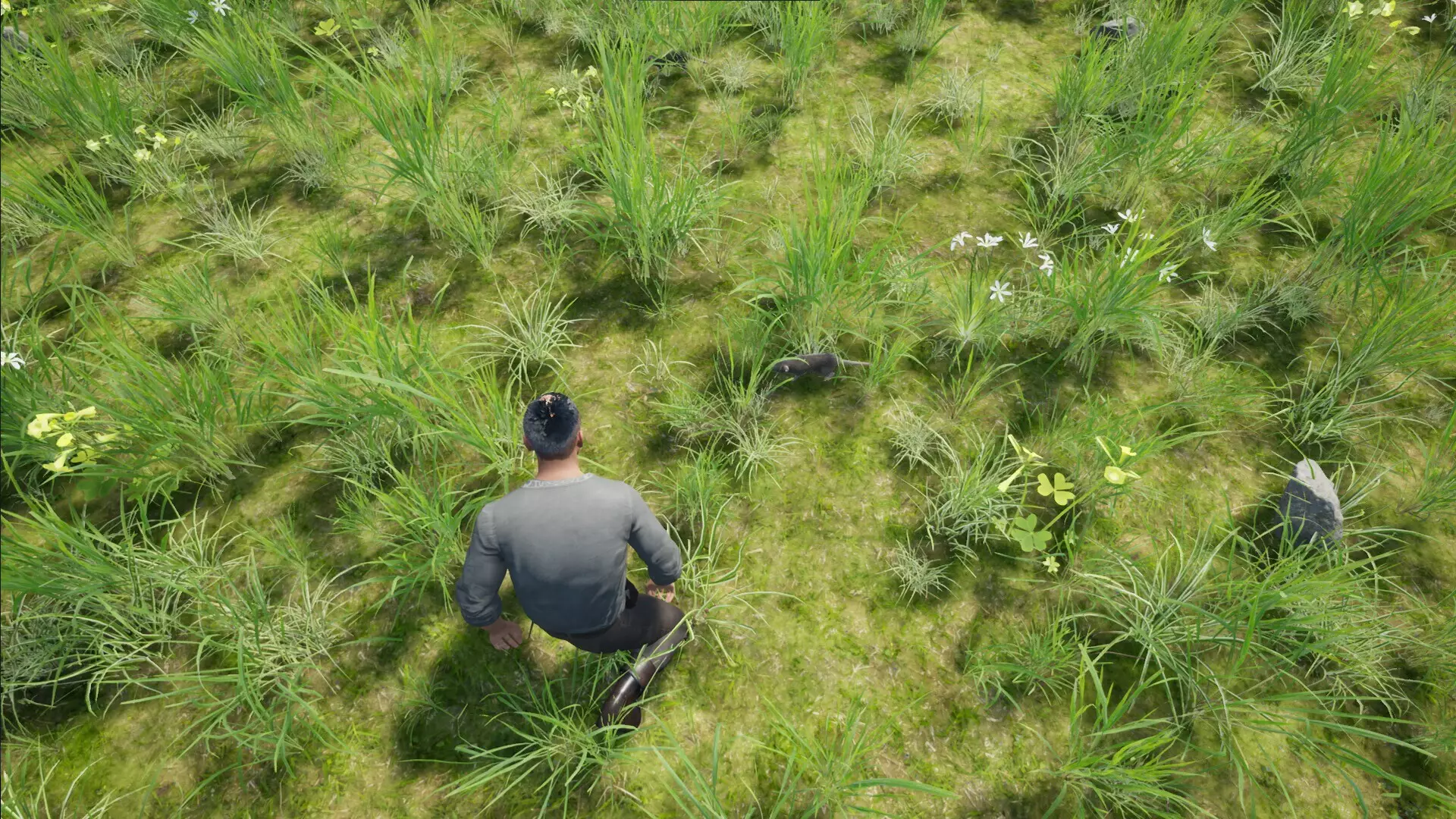 -Statera: Aurum-游戏截图-好玩游戏库