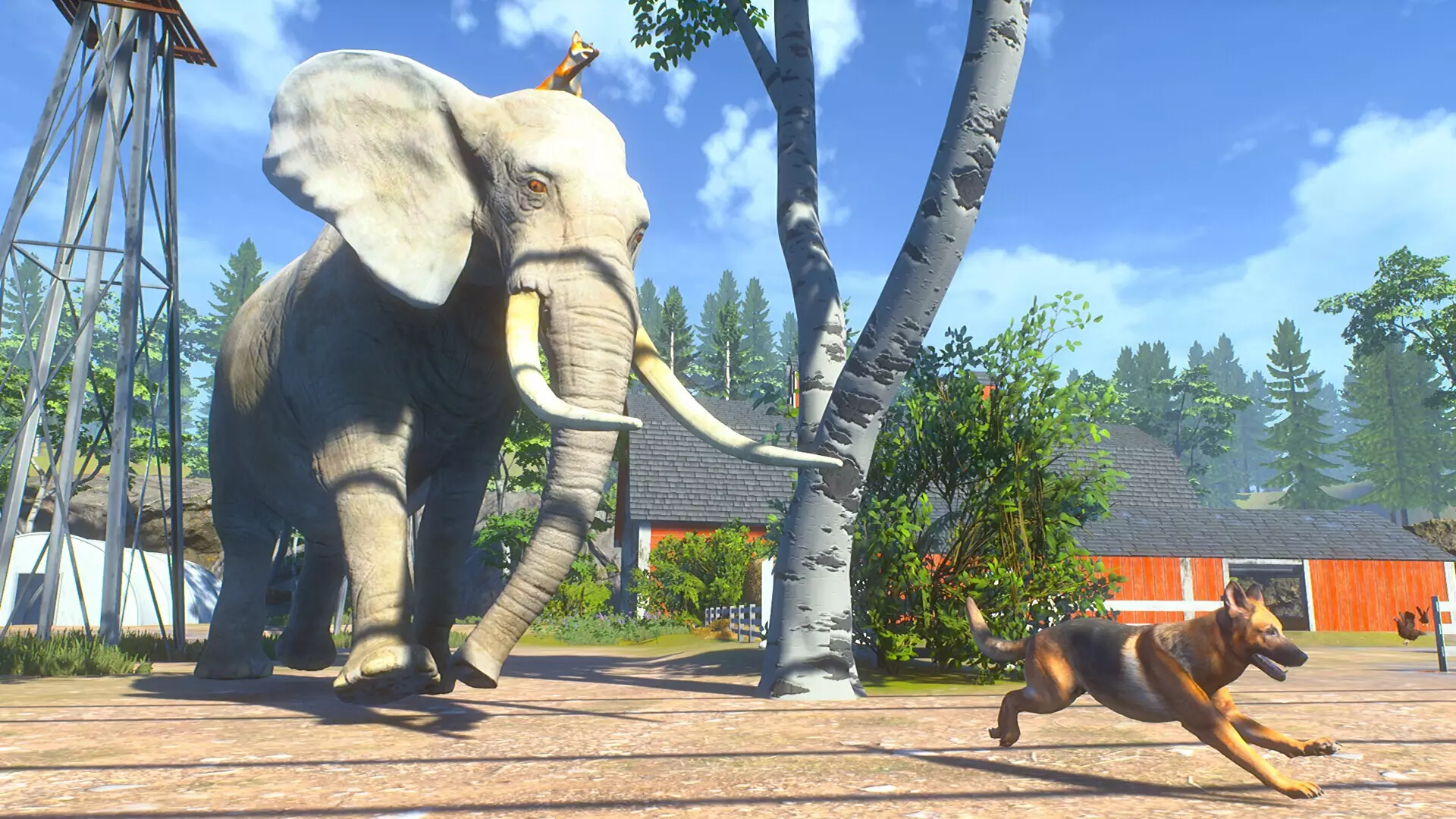 偷鸡狐狸-Chill Fox-游戏截图-好玩游戏库