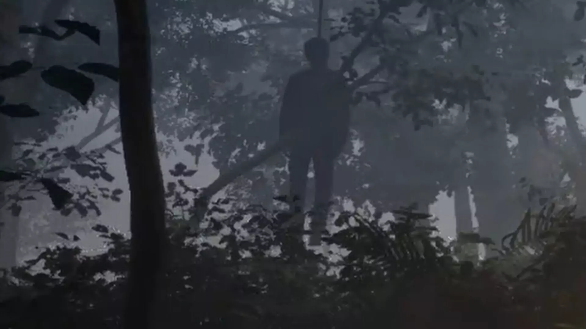 迷雾温泉：深山守则-Misty Onsen-游戏截图-好玩游戏库