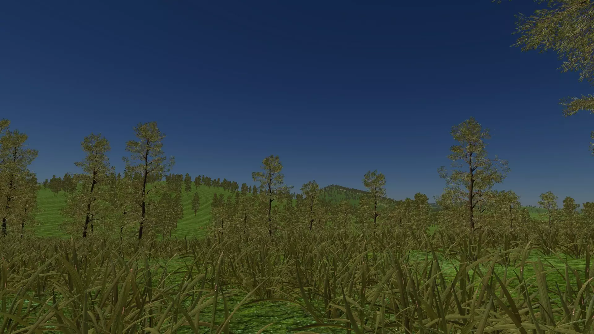 -Poland Car Simulator-游戏截图-好玩游戏库