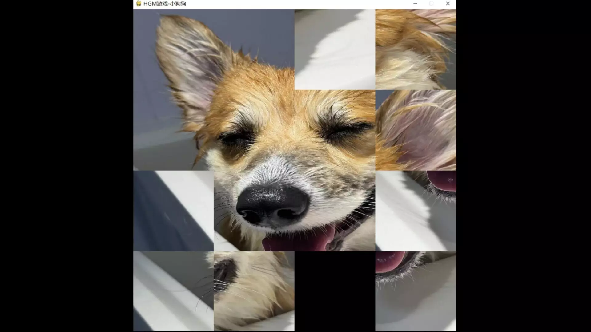 -hgmGame-dog-游戏截图-好玩游戏库