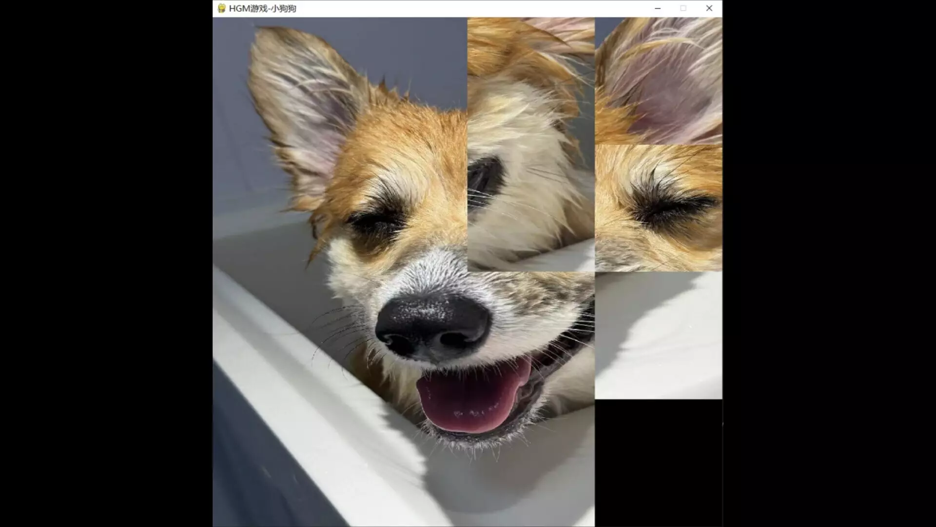 -hgmGame-dog-游戏截图-好玩游戏库