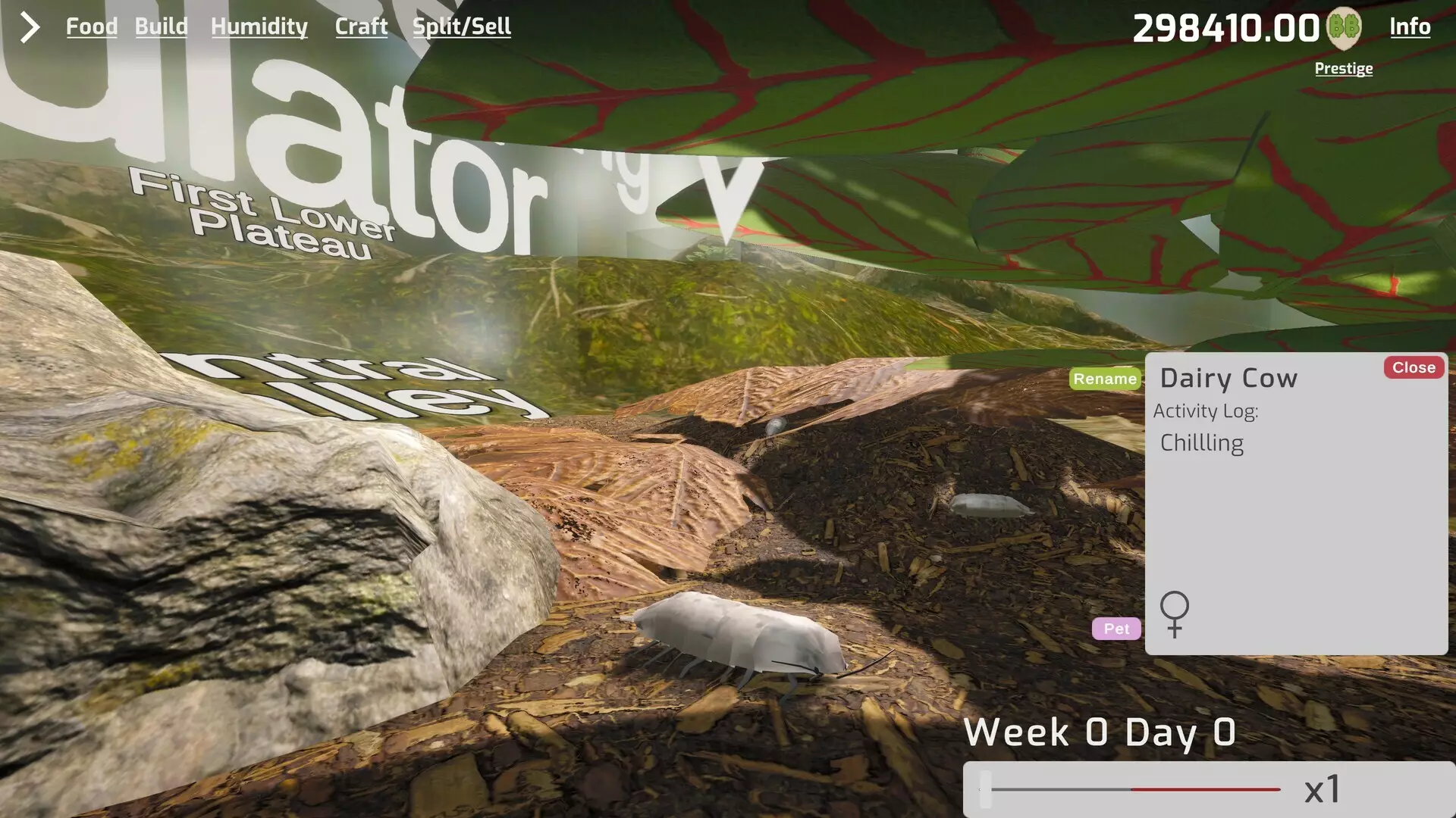 -Isopod Keeping Simulator-游戏截图-好玩游戏库