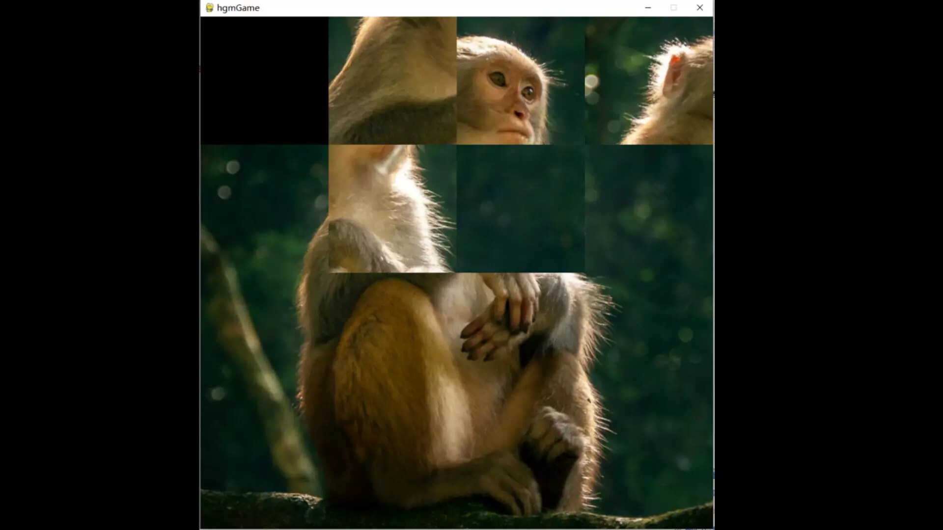 -hgmGame-monkey-游戏截图-好玩游戏库