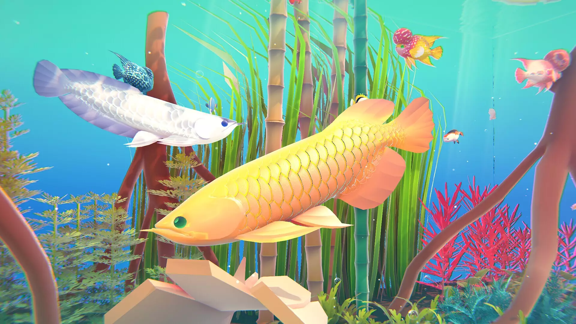 -Fishplay-游戏截图-好玩游戏库