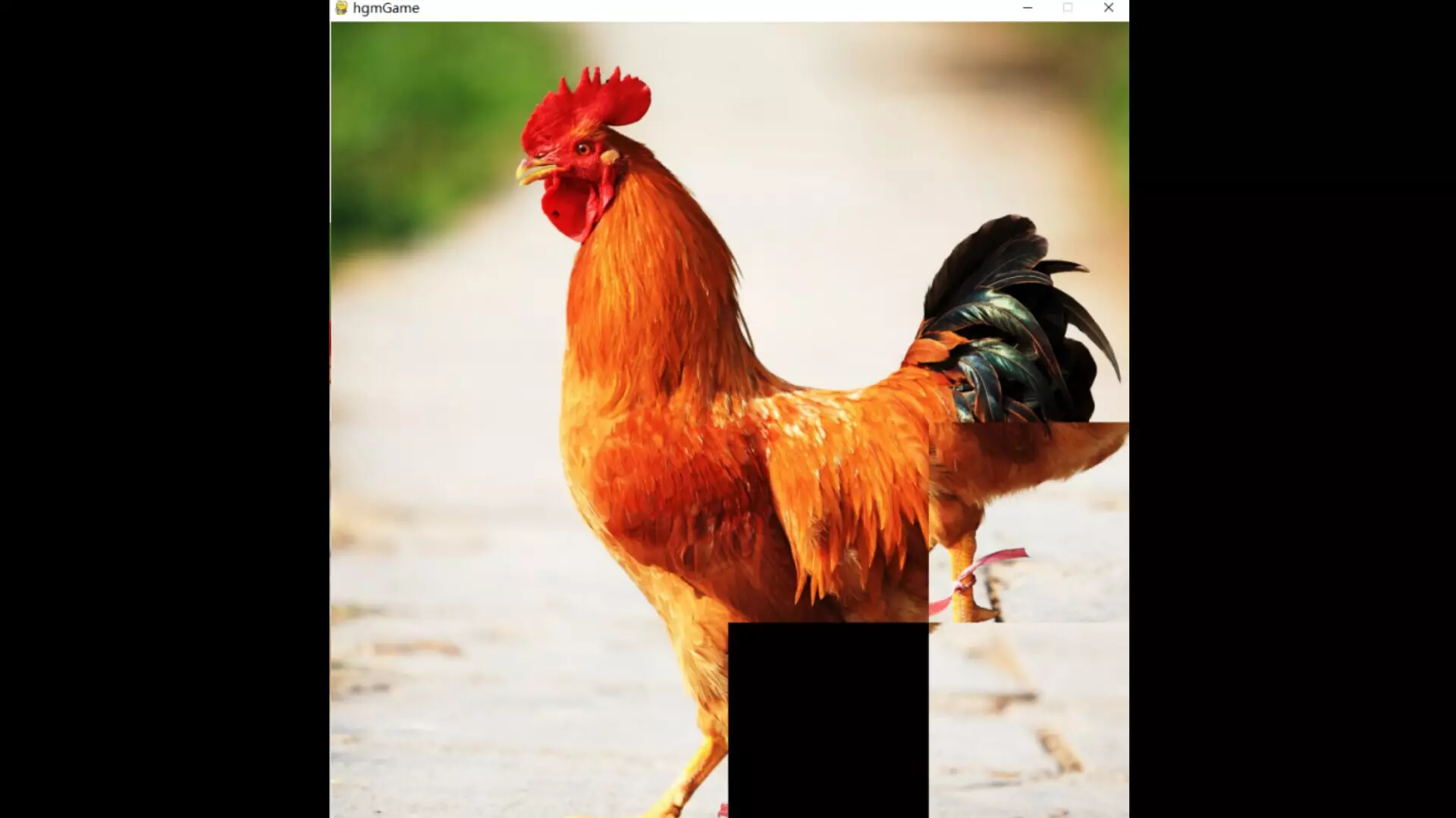 -hgmGame-rooster-游戏截图-好玩游戏库