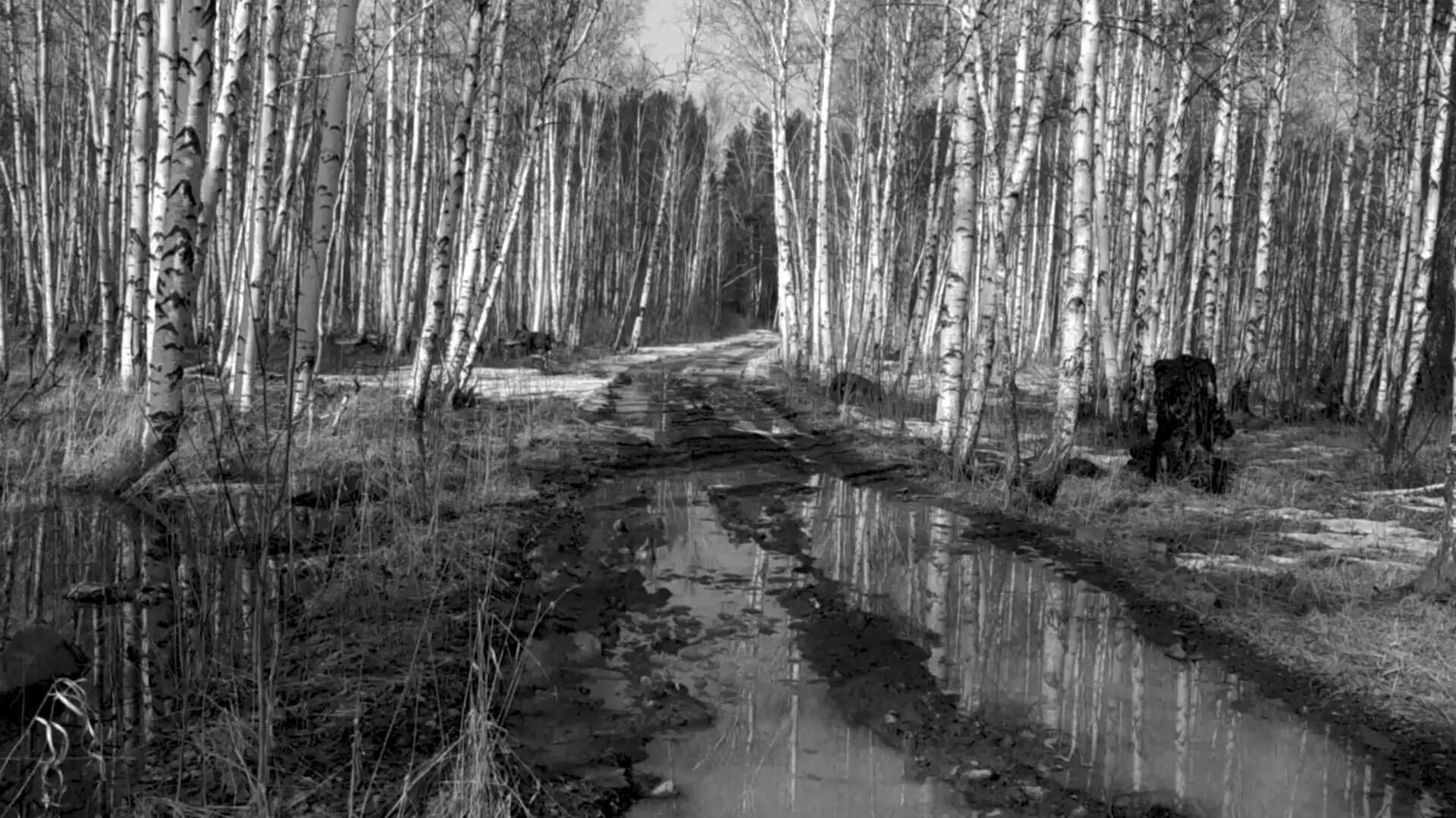 -Russian Psychiatric Pastoral: Prologue-游戏截图-好玩游戏库