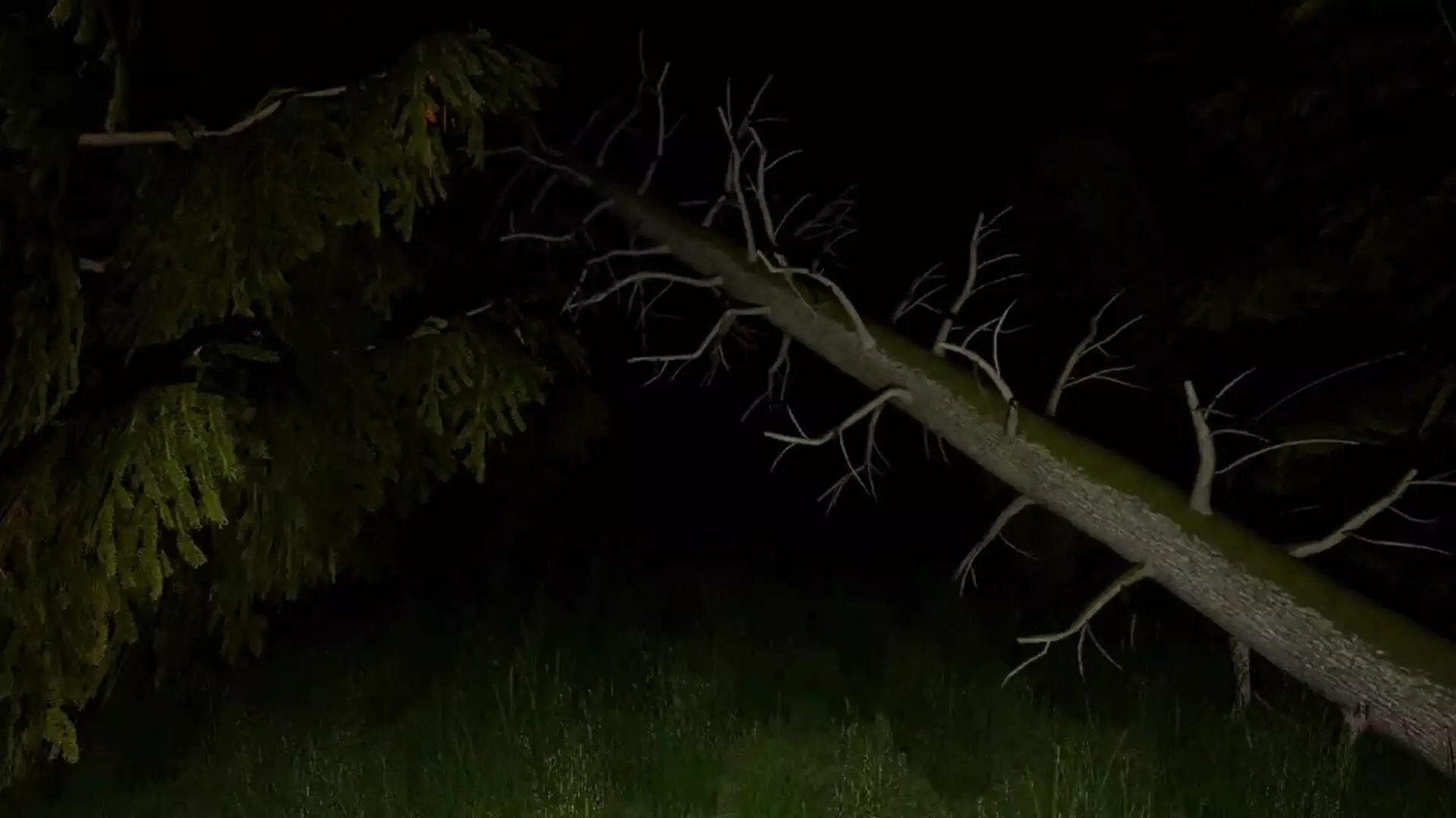 -Mountain's Memory-游戏截图-好玩游戏库