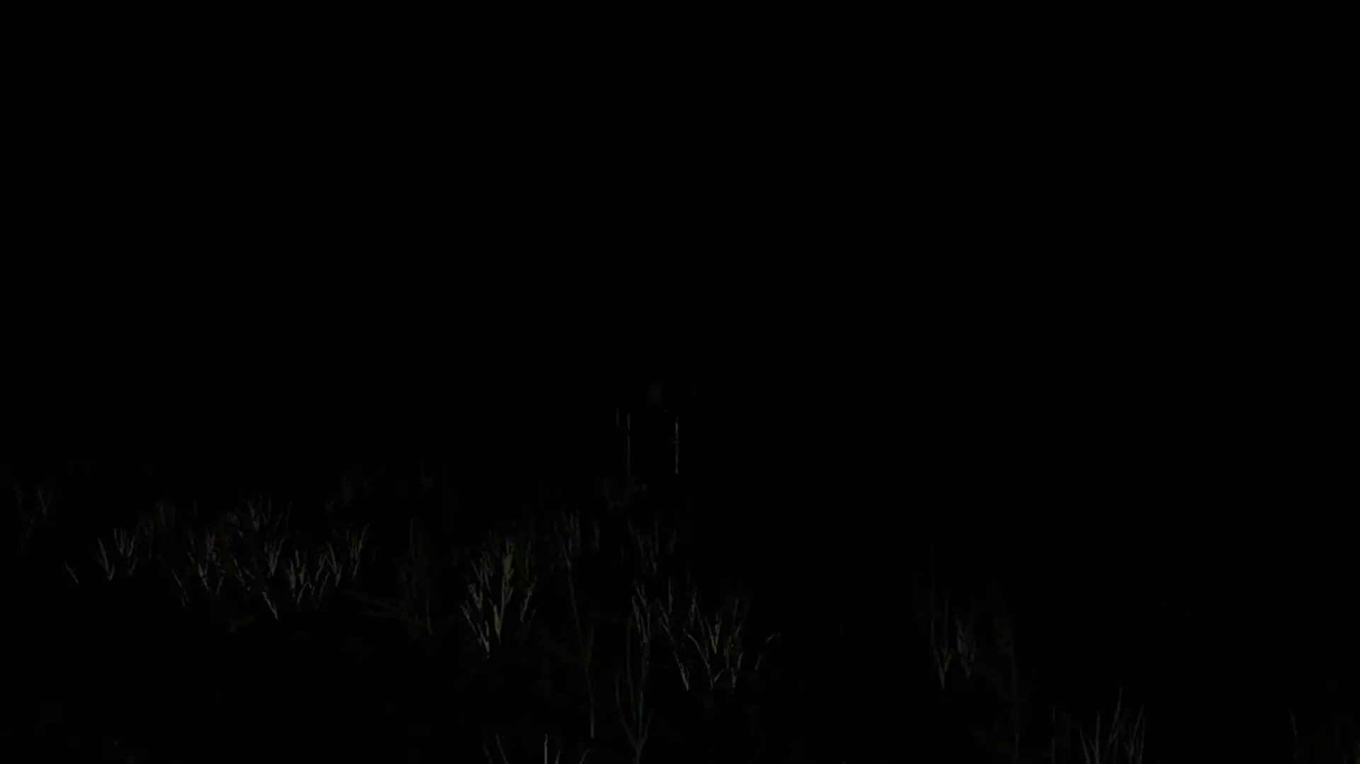 -Mountain's Memory-游戏截图-好玩游戏库