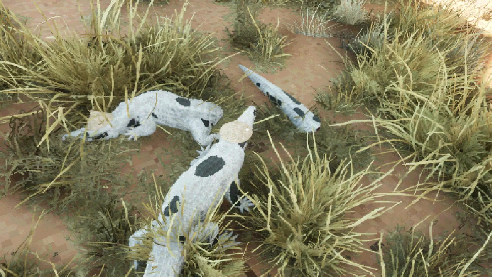 -Croc Royale-游戏截图-好玩游戏库