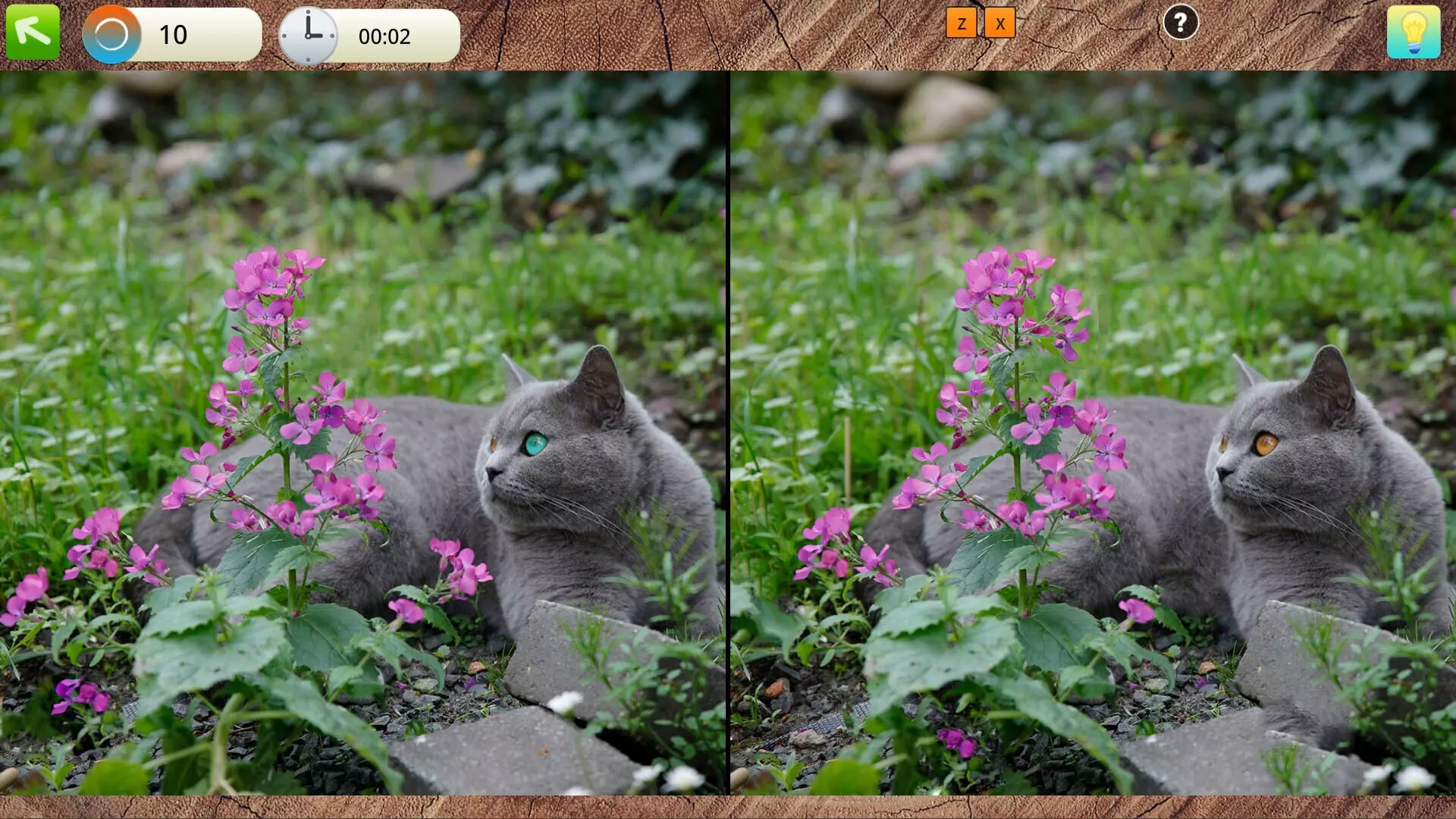 -Peaceful Gardens 2: Cute Cats-游戏截图-好玩游戏库